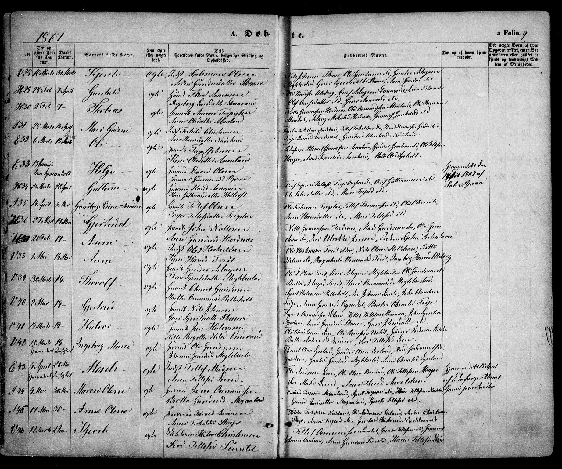 Evje sokneprestkontor, AV/SAK-1111-0008/F/Fa/Faa/L0006: Ministerialbok nr. A 6, 1866-1884, s. 9
