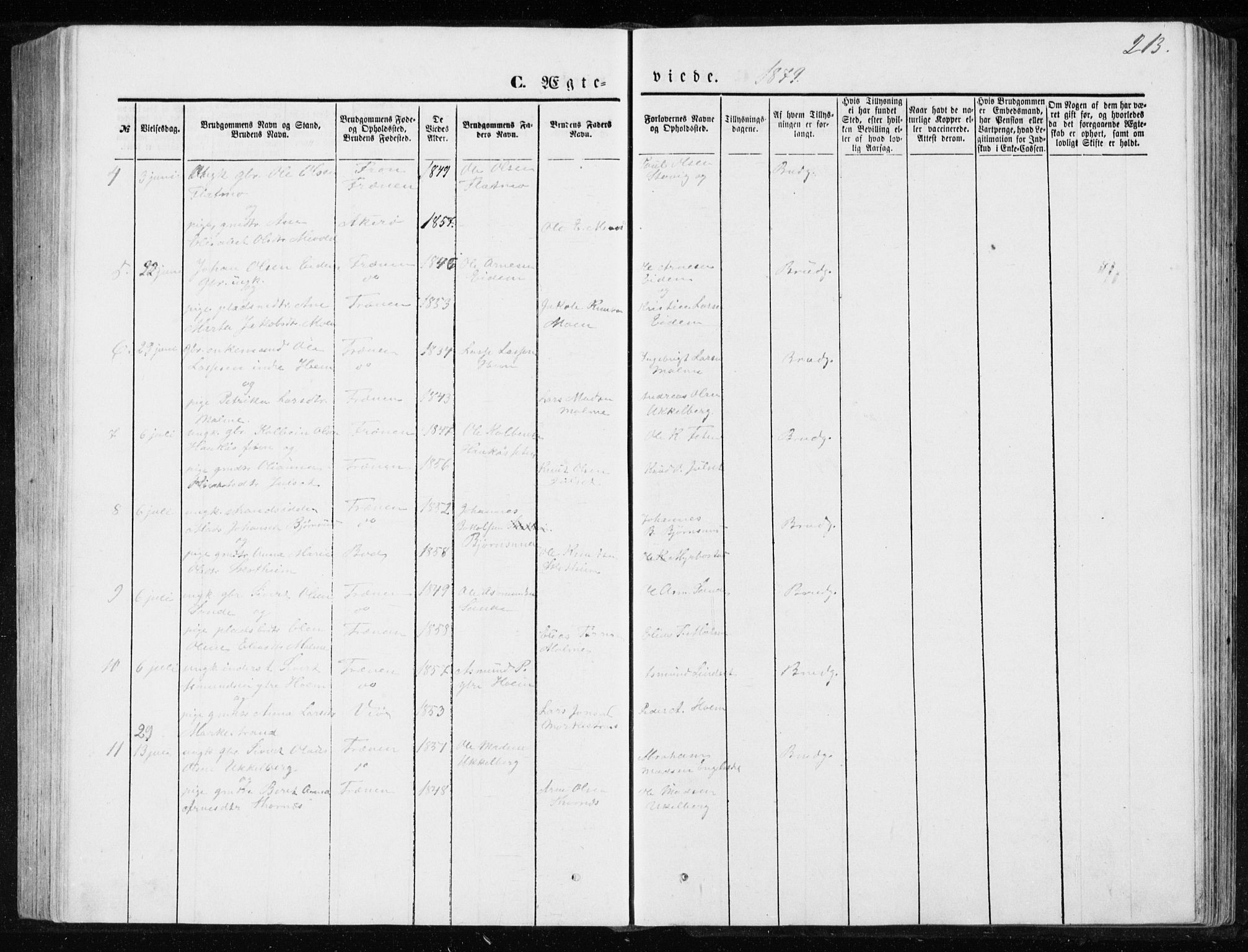 Ministerialprotokoller, klokkerbøker og fødselsregistre - Møre og Romsdal, AV/SAT-A-1454/565/L0754: Klokkerbok nr. 565C03, 1870-1896, s. 213