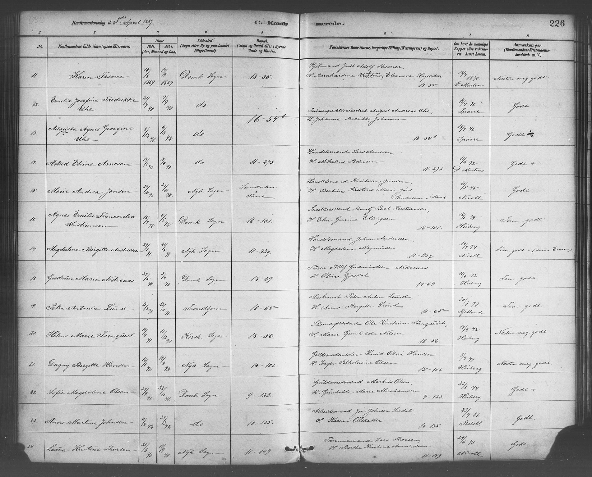 Domkirken sokneprestembete, SAB/A-74801/H/Haa/L0030: Ministerialbok nr. C 5, 1880-1898, s. 226