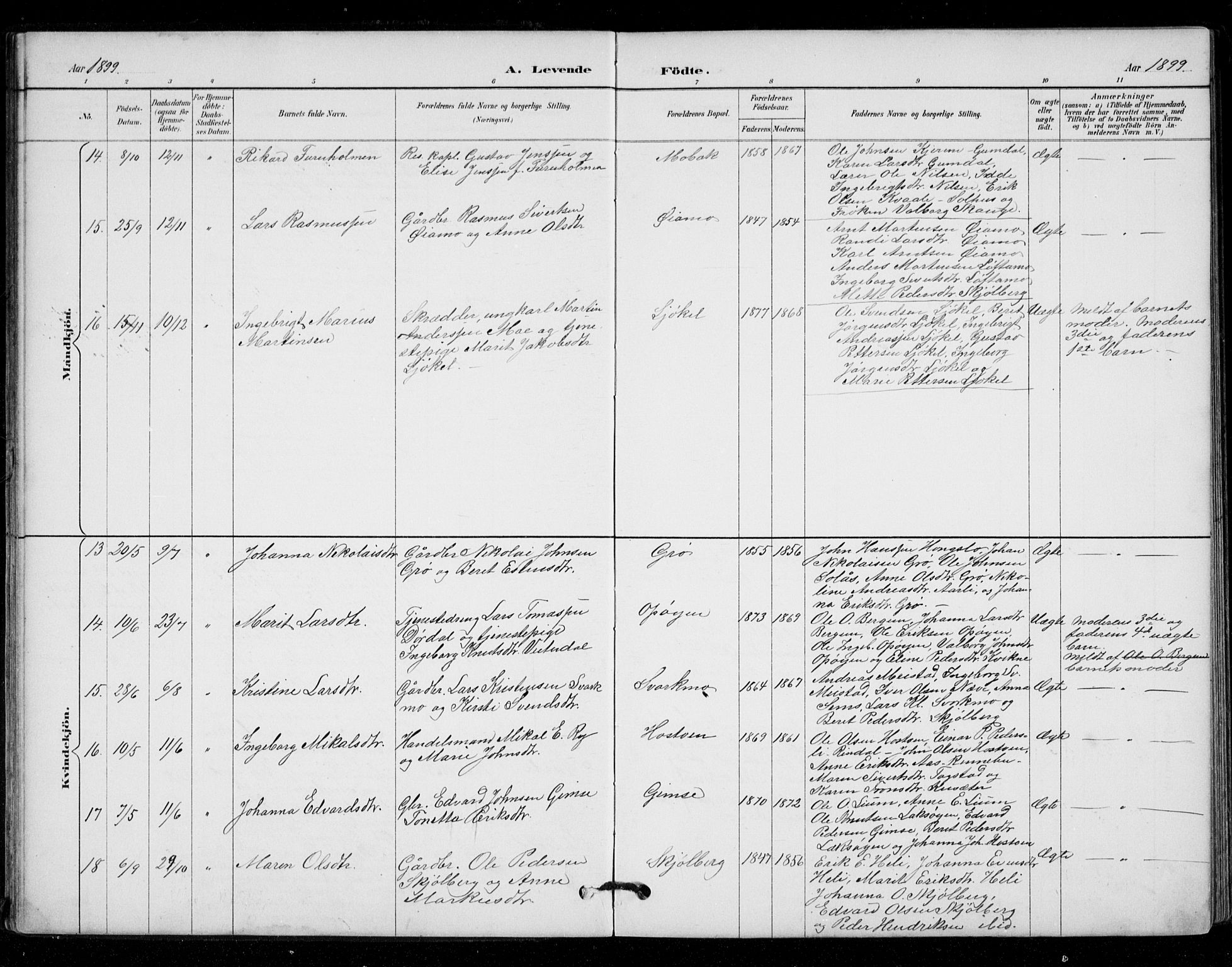 Ministerialprotokoller, klokkerbøker og fødselsregistre - Sør-Trøndelag, AV/SAT-A-1456/671/L0841: Ministerialbok nr. 671A03, 1893-1915