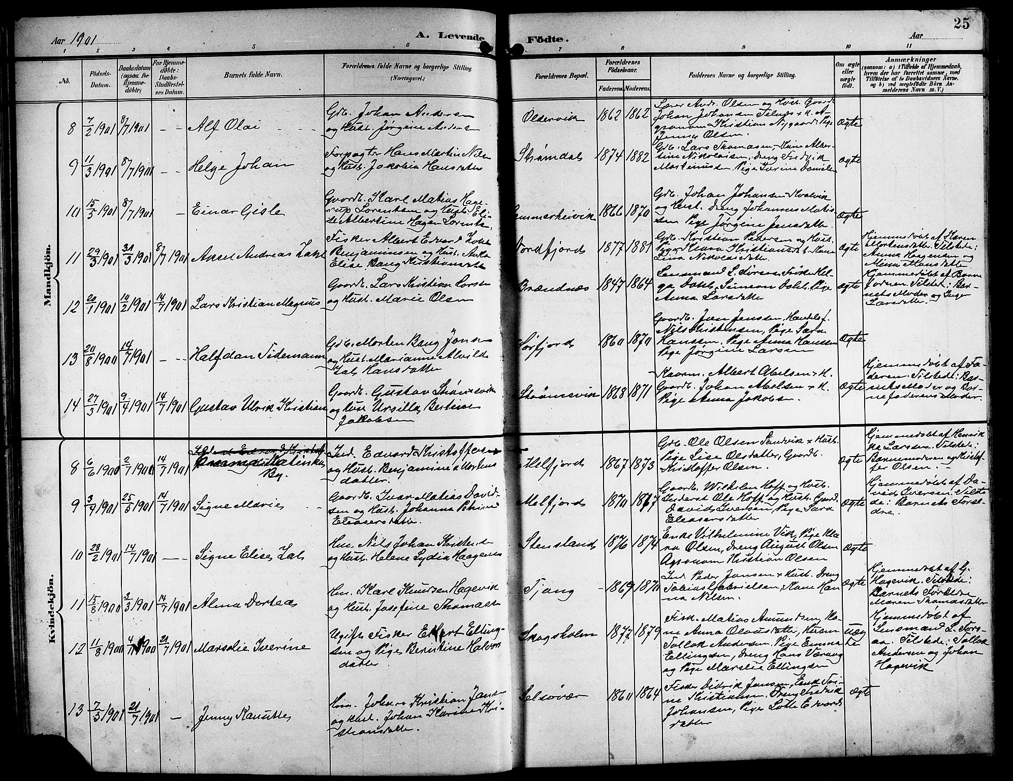 Ministerialprotokoller, klokkerbøker og fødselsregistre - Nordland, AV/SAT-A-1459/841/L0621: Klokkerbok nr. 841C05, 1897-1923, s. 25