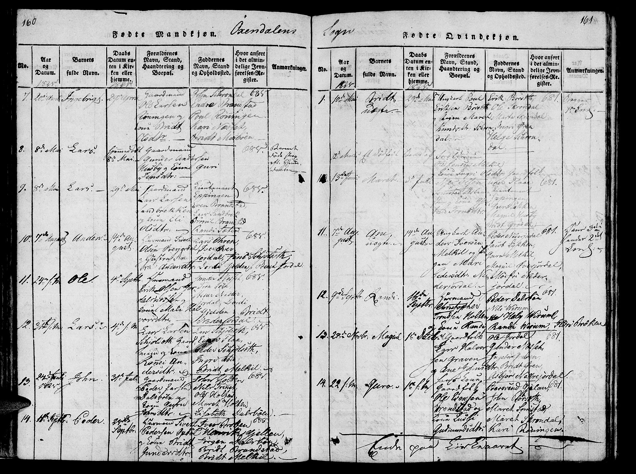 Ministerialprotokoller, klokkerbøker og fødselsregistre - Møre og Romsdal, AV/SAT-A-1454/590/L1011: Ministerialbok nr. 590A03 /3, 1819-1832, s. 160-161