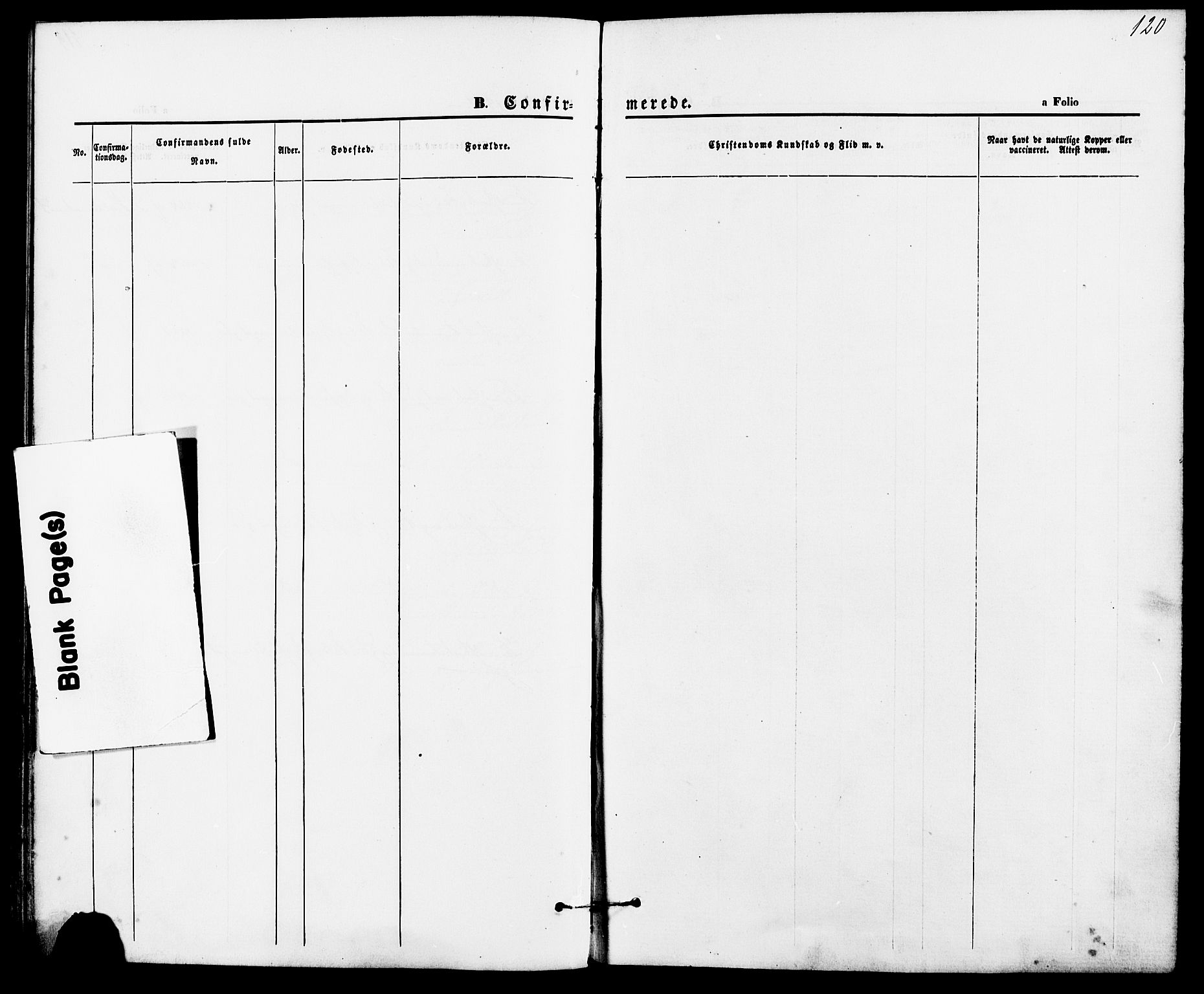 Suldal sokneprestkontor, AV/SAST-A-101845/01/IV/L0010: Ministerialbok nr. A 10, 1869-1878, s. 120