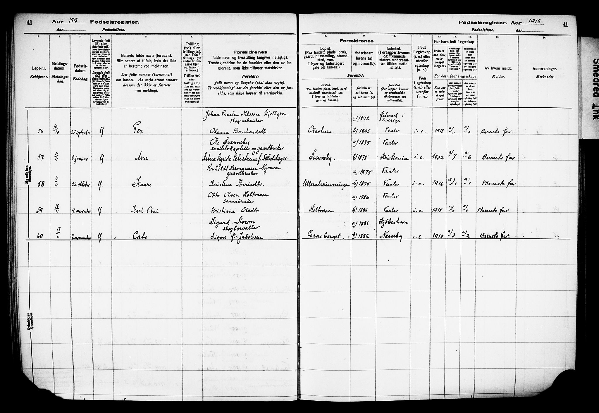 Våler prestekontor, Hedmark, AV/SAH-PREST-040/I/Id/L0001: Fødselsregister nr. 1, 1916-1930, s. 41