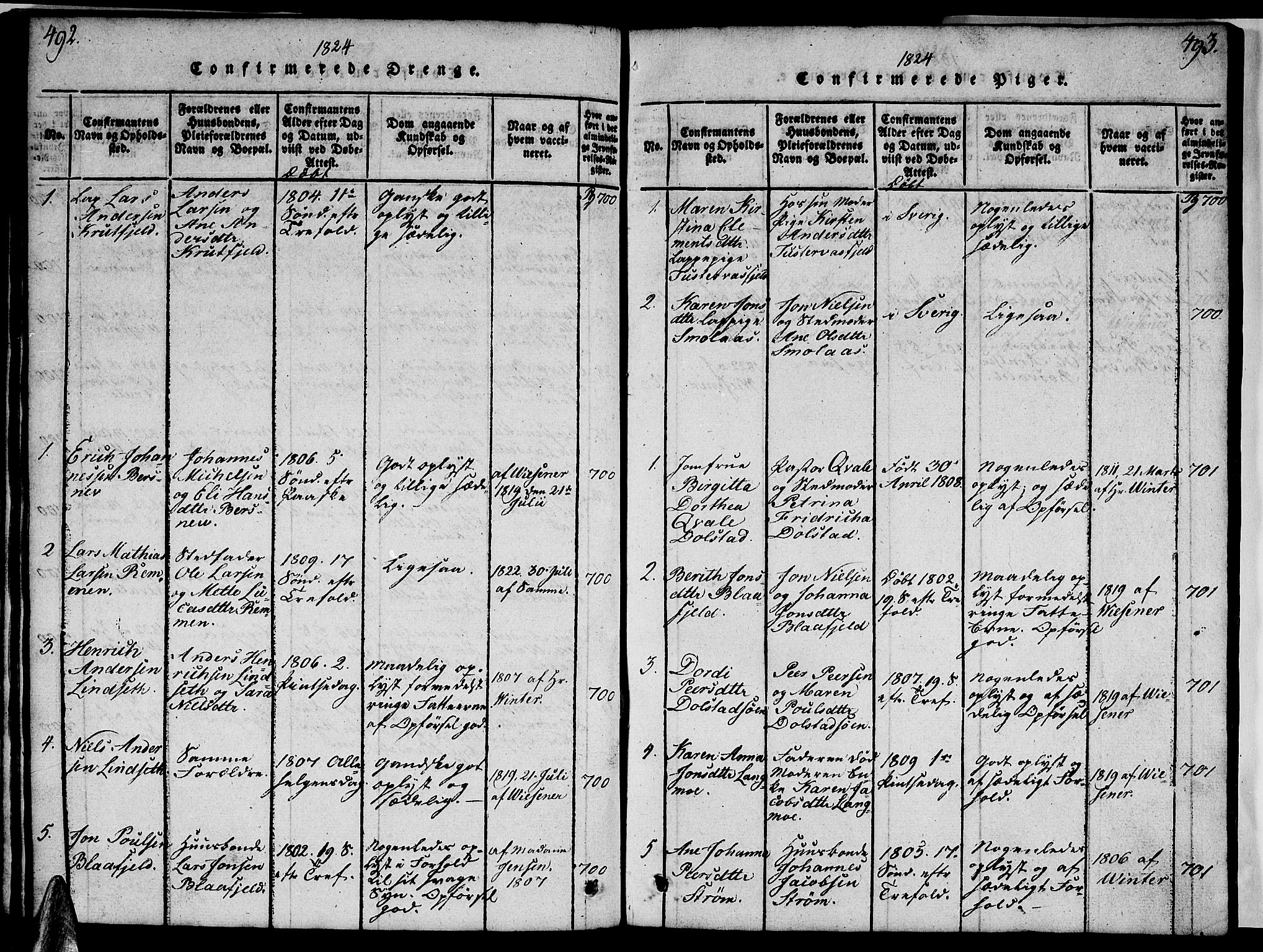 Ministerialprotokoller, klokkerbøker og fødselsregistre - Nordland, AV/SAT-A-1459/820/L0299: Klokkerbok nr. 820C01, 1820-1825, s. 492-493