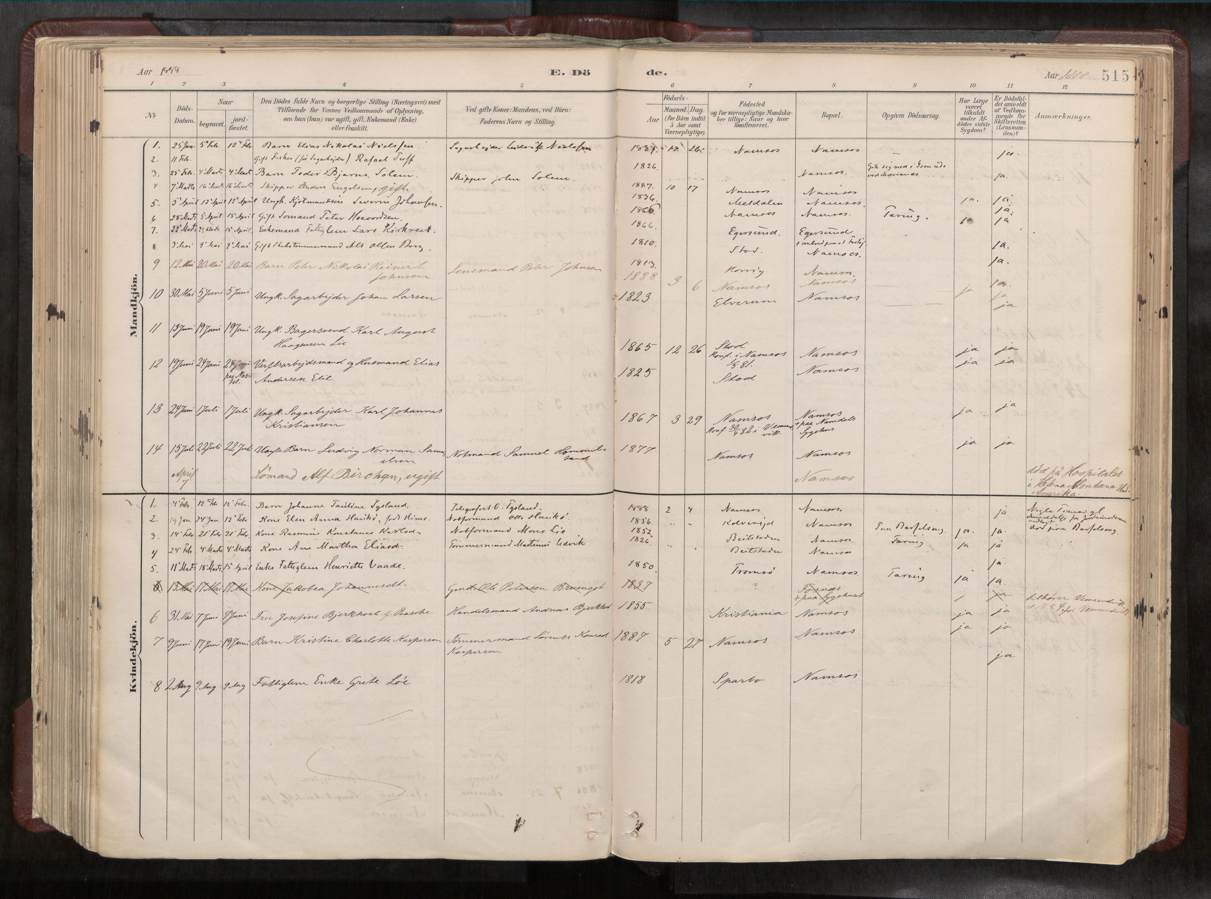 Ministerialprotokoller, klokkerbøker og fødselsregistre - Nord-Trøndelag, AV/SAT-A-1458/768/L0579a: Ministerialbok nr. 768A14, 1887-1931, s. 515