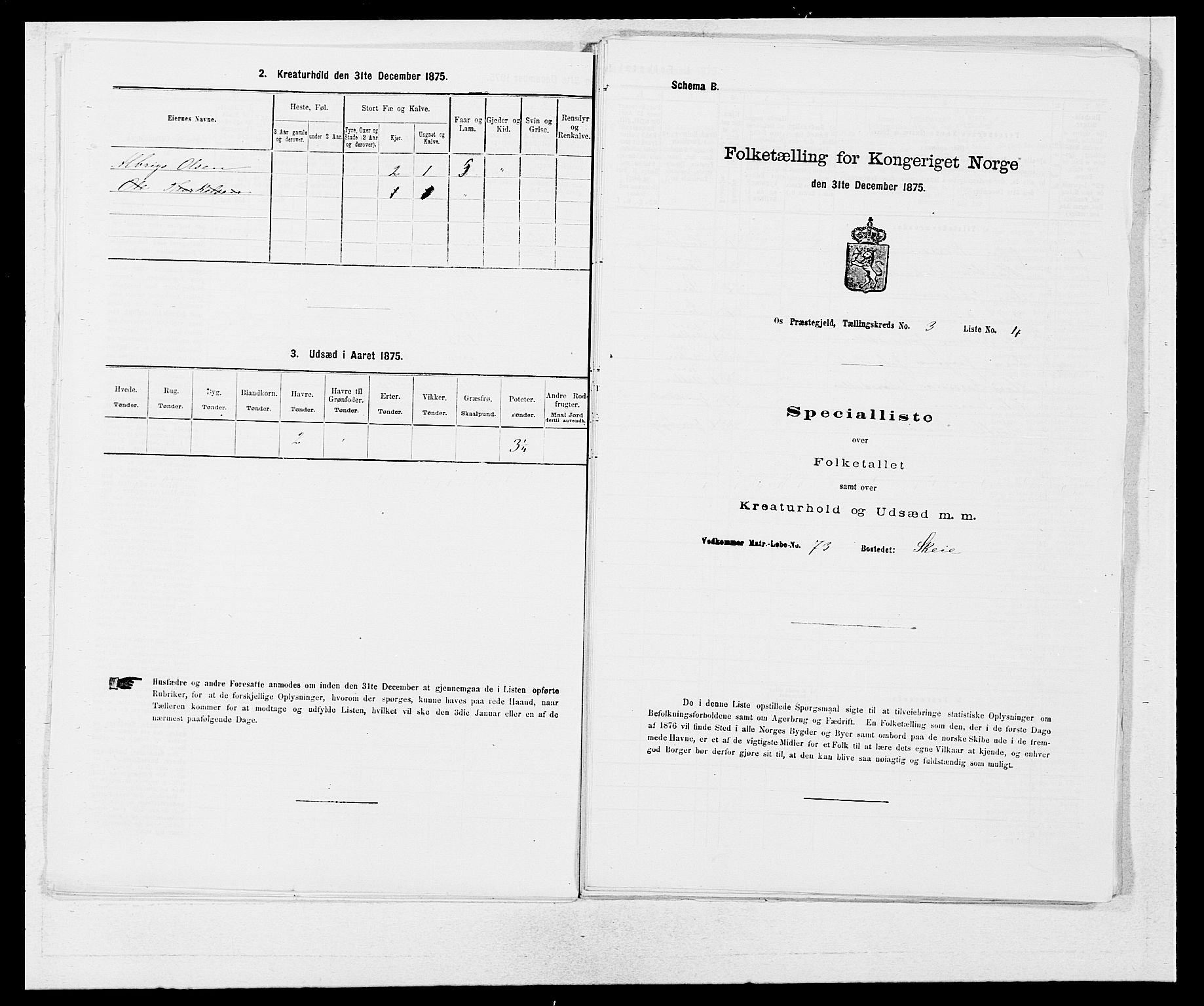 SAB, Folketelling 1875 for 1243P Os prestegjeld, 1875, s. 273