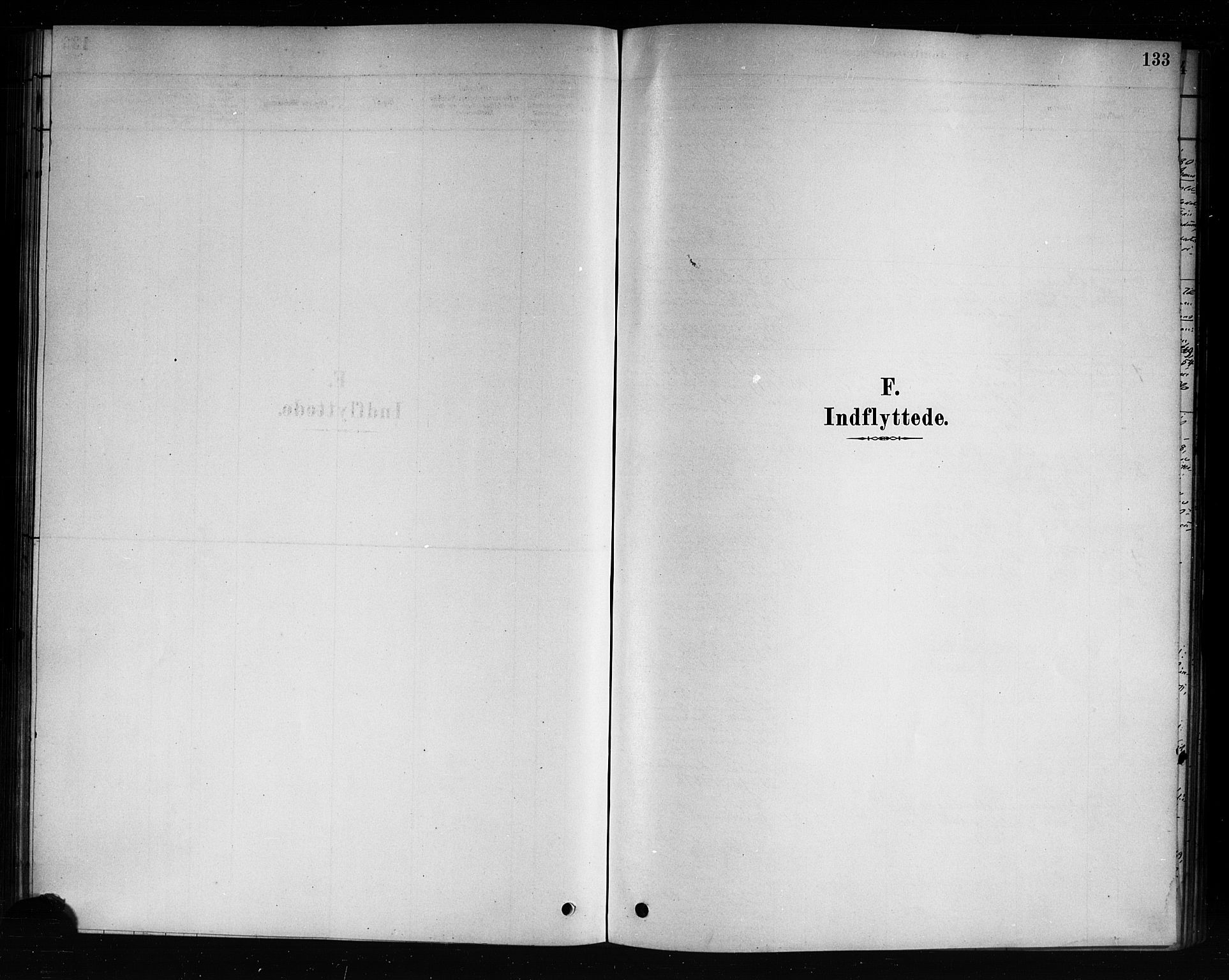 Hole kirkebøker, SAKO/A-228/F/Fb/L0001: Ministerialbok nr. II 1, 1878-1891, s. 133