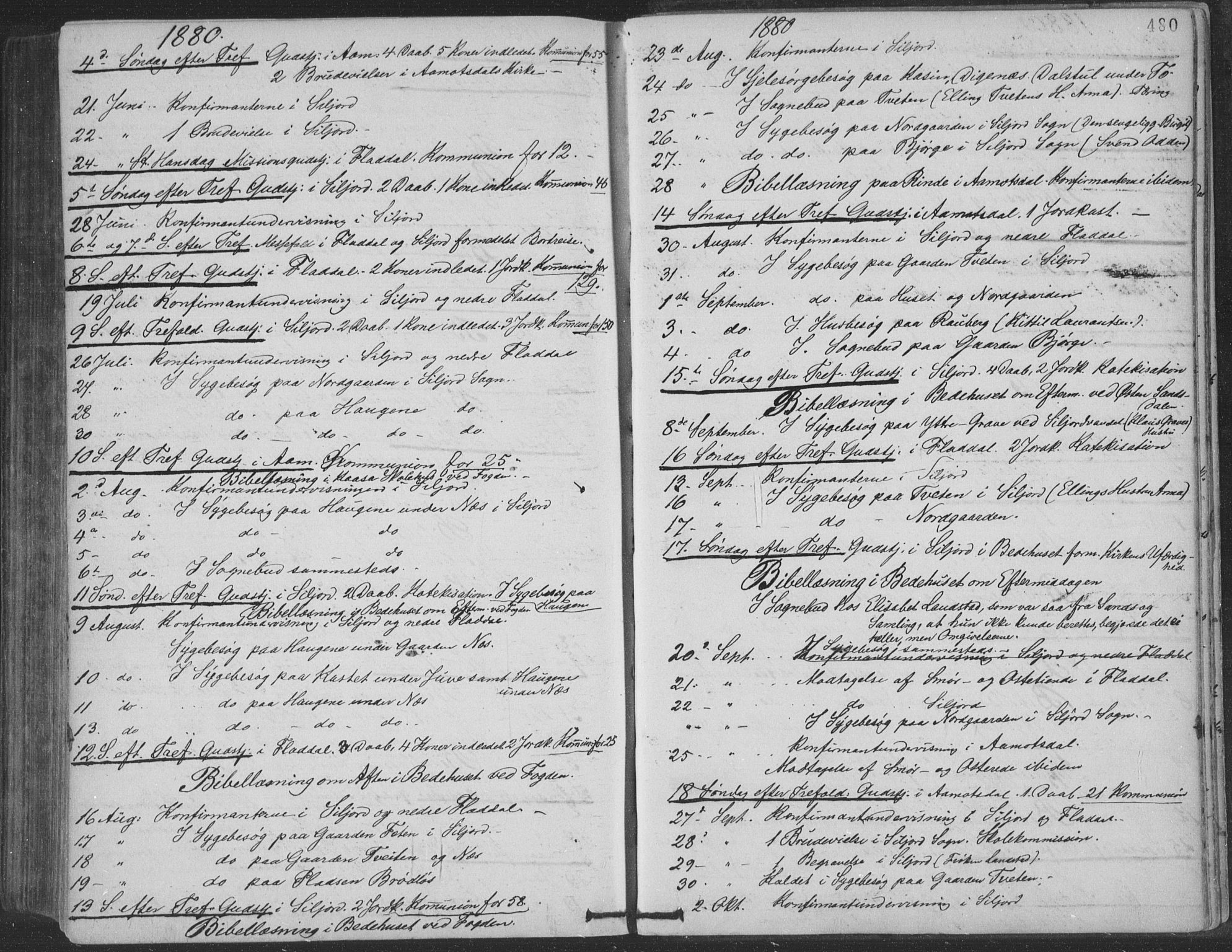 Seljord kirkebøker, SAKO/A-20/F/Fa/L0014: Ministerialbok nr. I 14, 1877-1886, s. 480