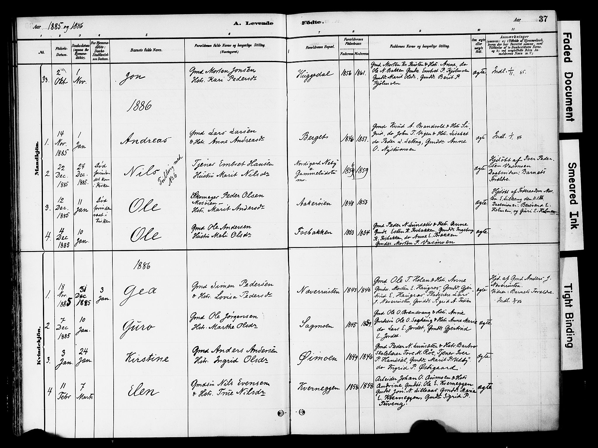 Tynset prestekontor, SAH/PREST-058/H/Ha/Haa/L0022: Ministerialbok nr. 22, 1880-1899, s. 37