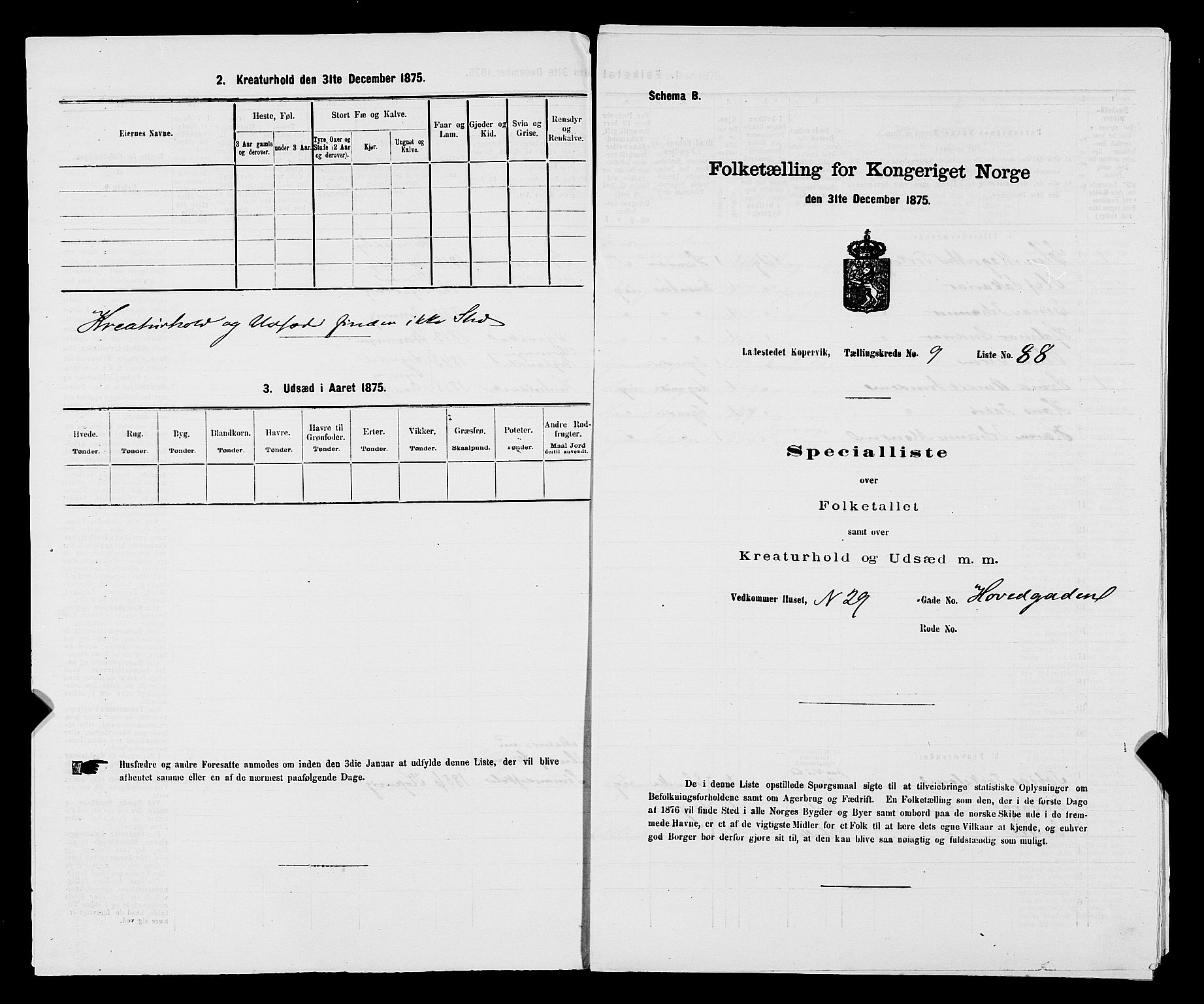 SAST, Folketelling 1875 for 1105B Avaldsnes prestegjeld, Kopervik ladested, 1875, s. 175