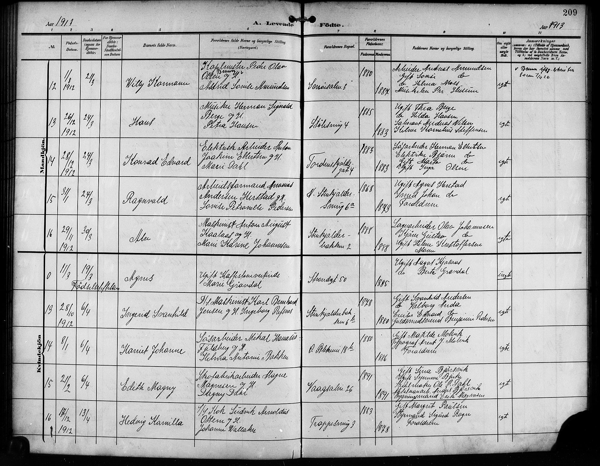 Korskirken sokneprestembete, AV/SAB-A-76101/H/Hab: Klokkerbok nr. B 11, 1905-1916, s. 209