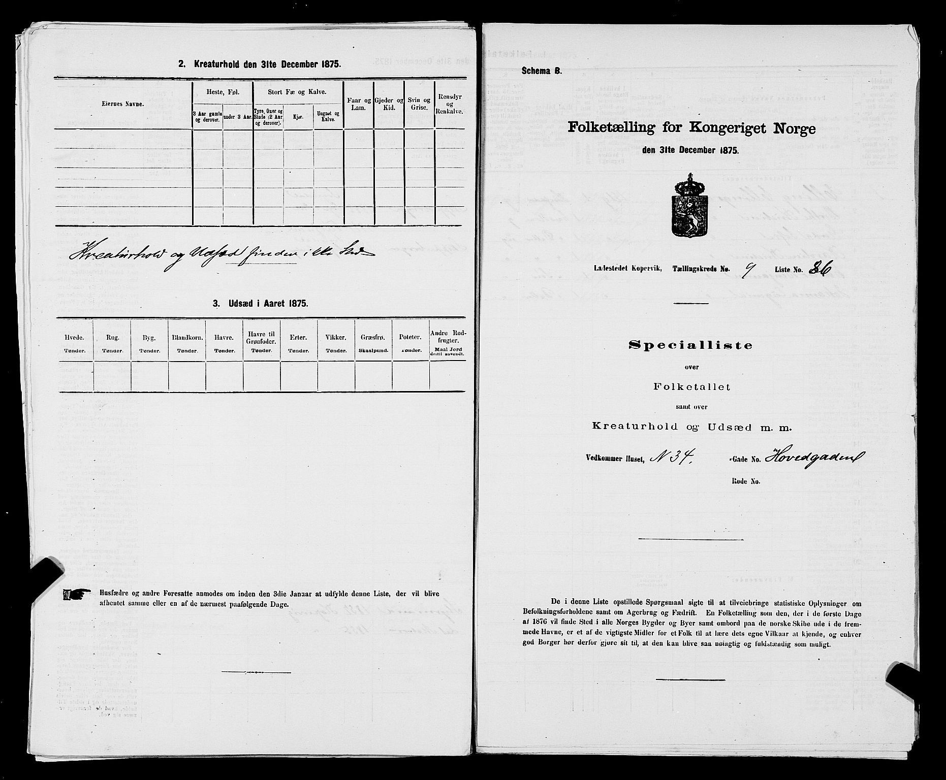 SAST, Folketelling 1875 for 1105B Avaldsnes prestegjeld, Kopervik ladested, 1875, s. 171