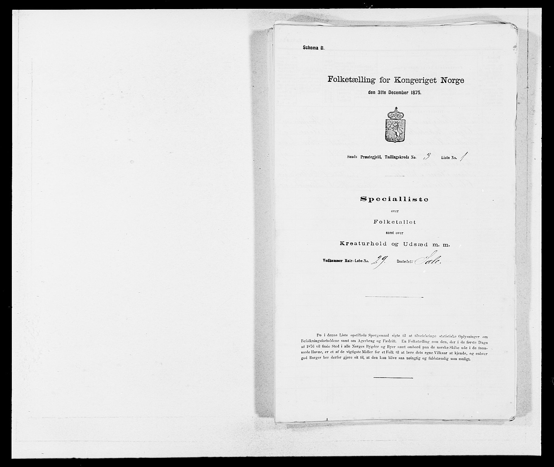 SAB, Folketelling 1875 for 1245P Sund prestegjeld, 1875, s. 228