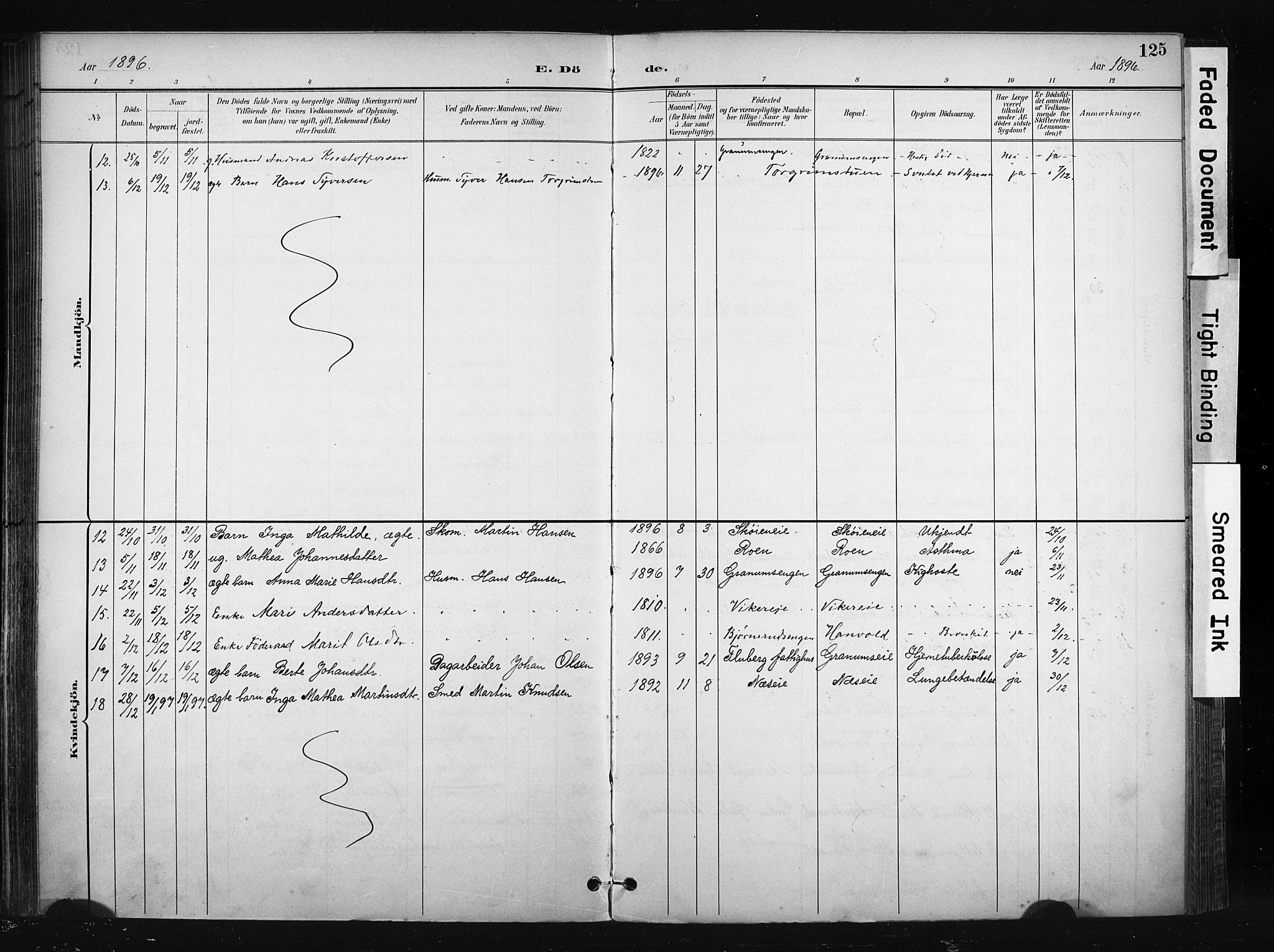 Søndre Land prestekontor, SAH/PREST-122/K/L0004: Ministerialbok nr. 4, 1895-1904, s. 125