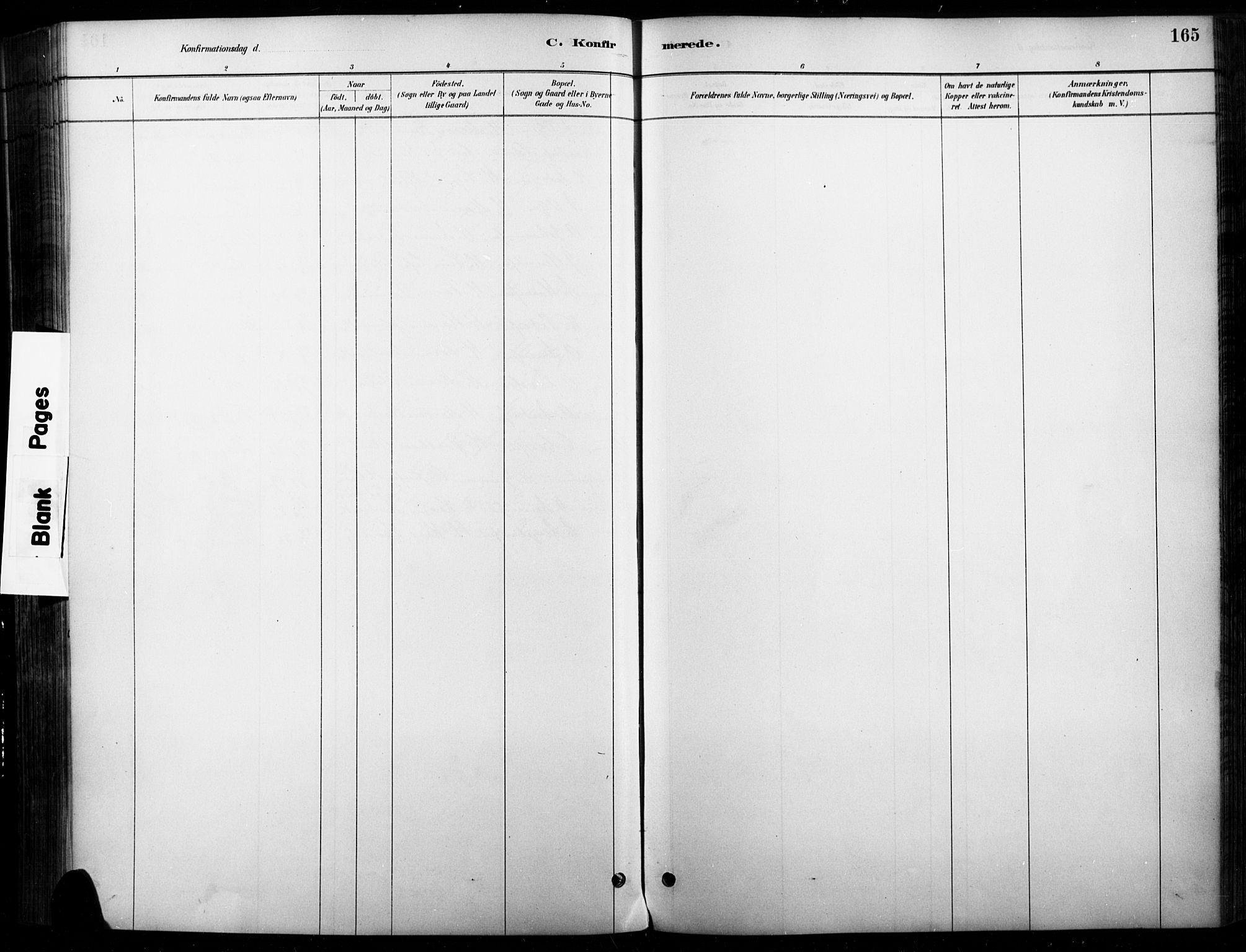 Vinger prestekontor, AV/SAH-PREST-024/H/Ha/Haa/L0015: Ministerialbok nr. 15, 1881-1900, s. 165