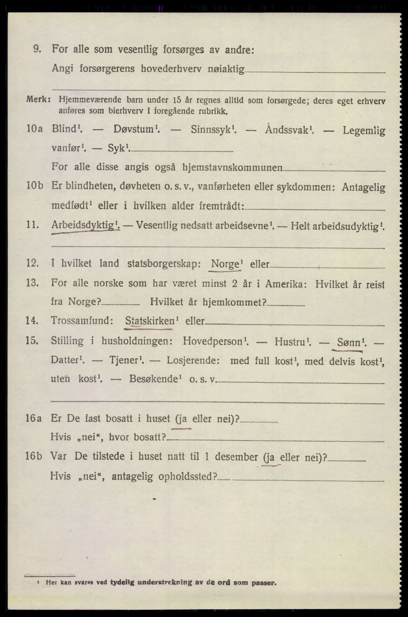 SAKO, Folketelling 1920 for 0815 Skåtøy herred, 1920, s. 7101