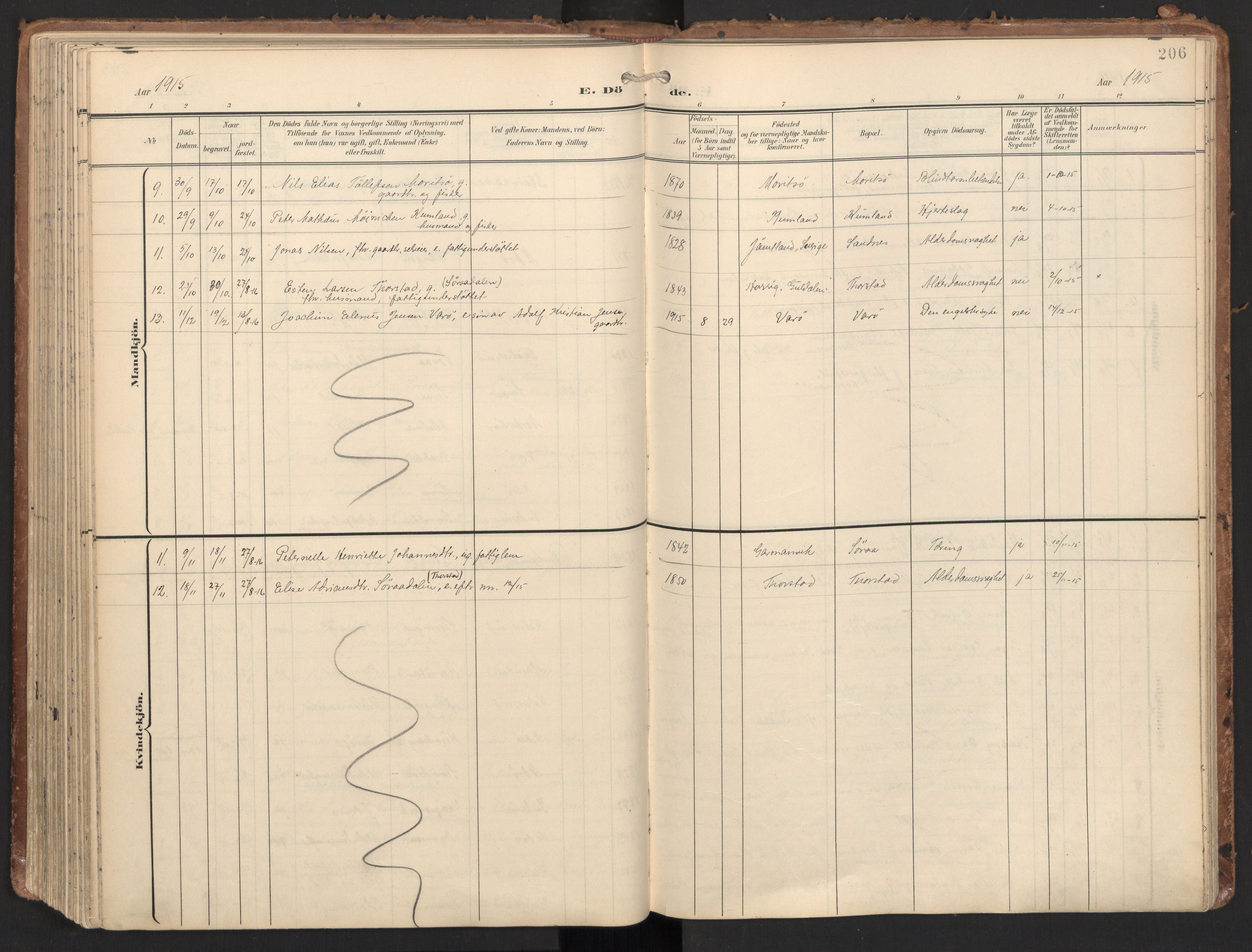 Ministerialprotokoller, klokkerbøker og fødselsregistre - Nord-Trøndelag, SAT/A-1458/784/L0677: Ministerialbok nr. 784A12, 1900-1920, s. 206