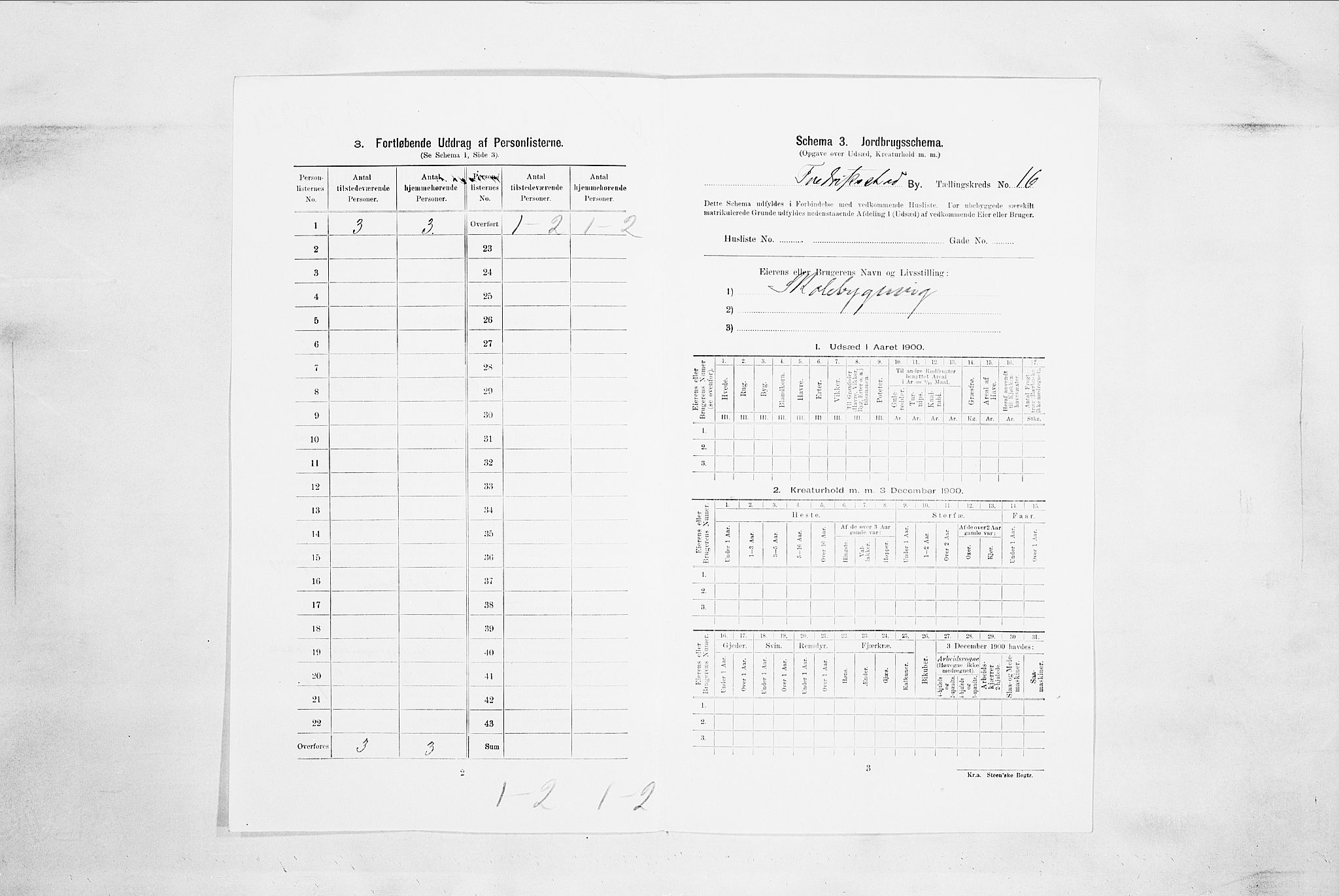 SAO, Folketelling 1900 for 0103 Fredrikstad kjøpstad, 1900