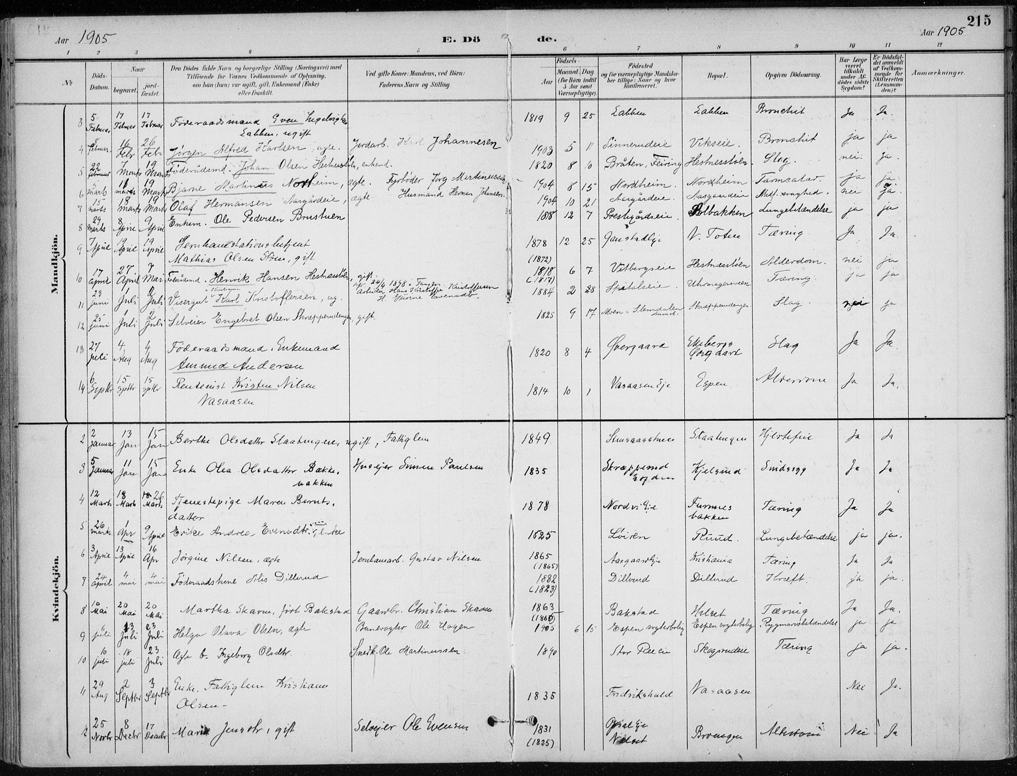 Stange prestekontor, SAH/PREST-002/K/L0023: Ministerialbok nr. 23, 1897-1920, s. 215