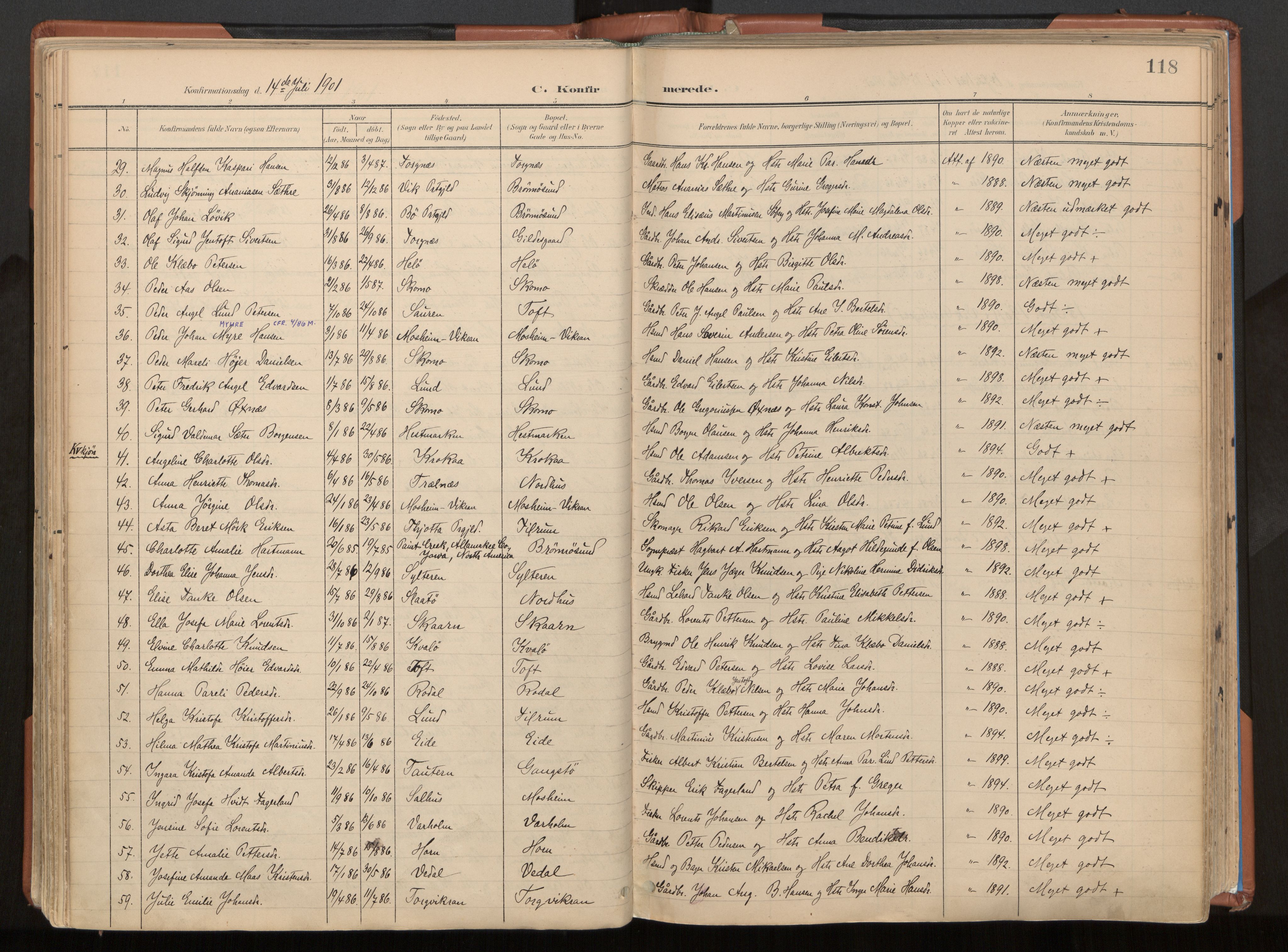 Ministerialprotokoller, klokkerbøker og fødselsregistre - Nordland, AV/SAT-A-1459/813/L0201: Ministerialbok nr. 813A11, 1901-1918, s. 118