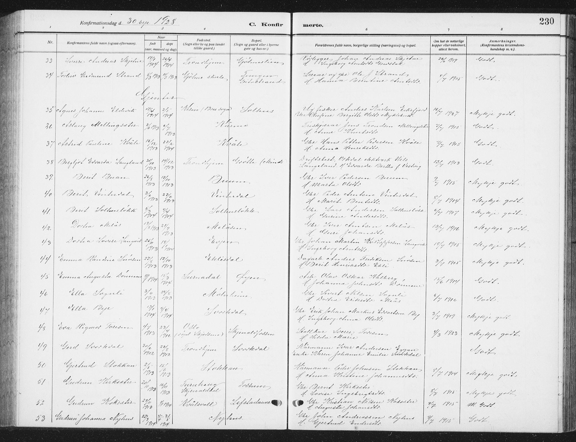 Ministerialprotokoller, klokkerbøker og fødselsregistre - Sør-Trøndelag, SAT/A-1456/668/L0820: Klokkerbok nr. 668C09, 1912-1936, s. 230