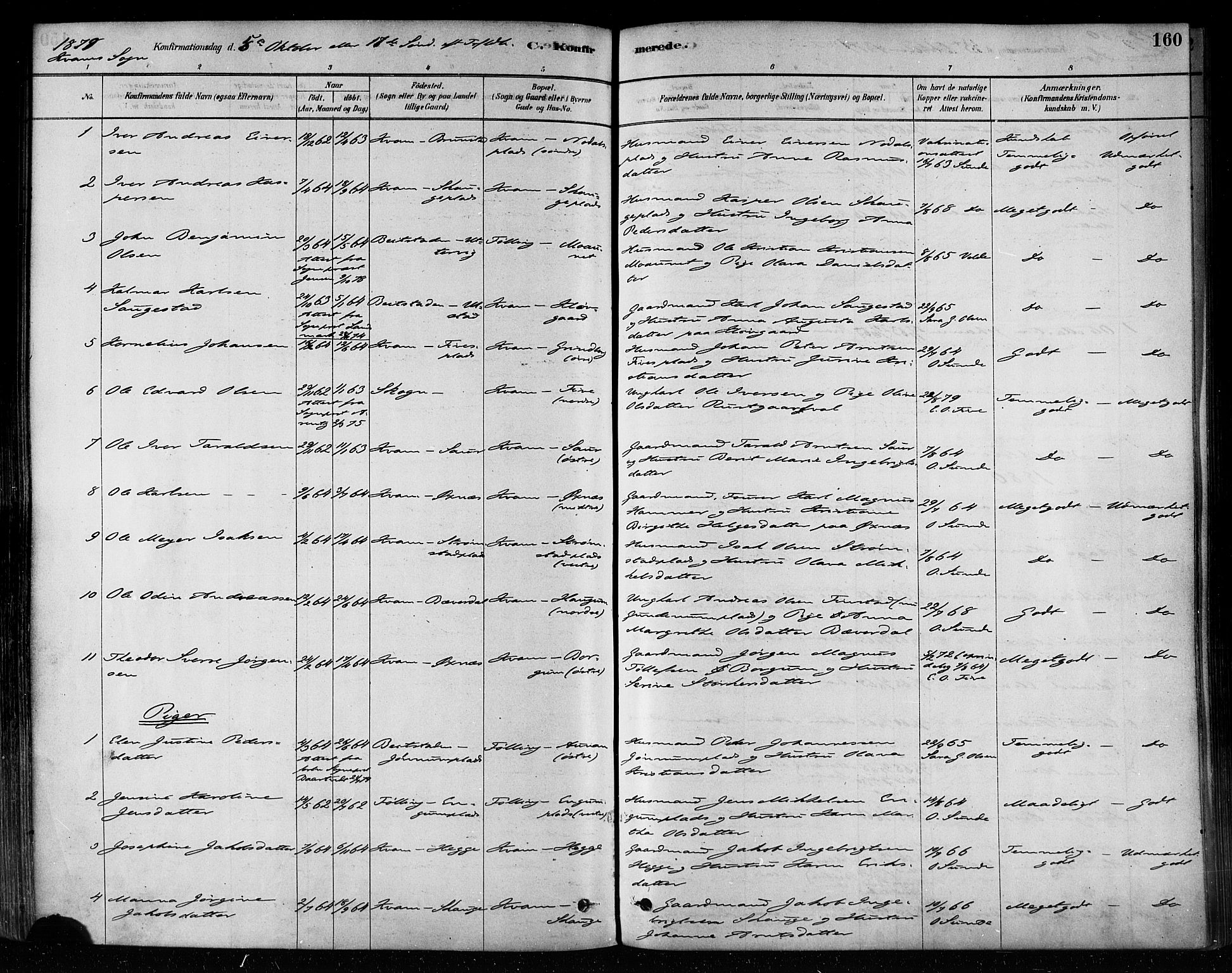 Ministerialprotokoller, klokkerbøker og fødselsregistre - Nord-Trøndelag, SAT/A-1458/746/L0449: Ministerialbok nr. 746A07 /2, 1878-1899, s. 160