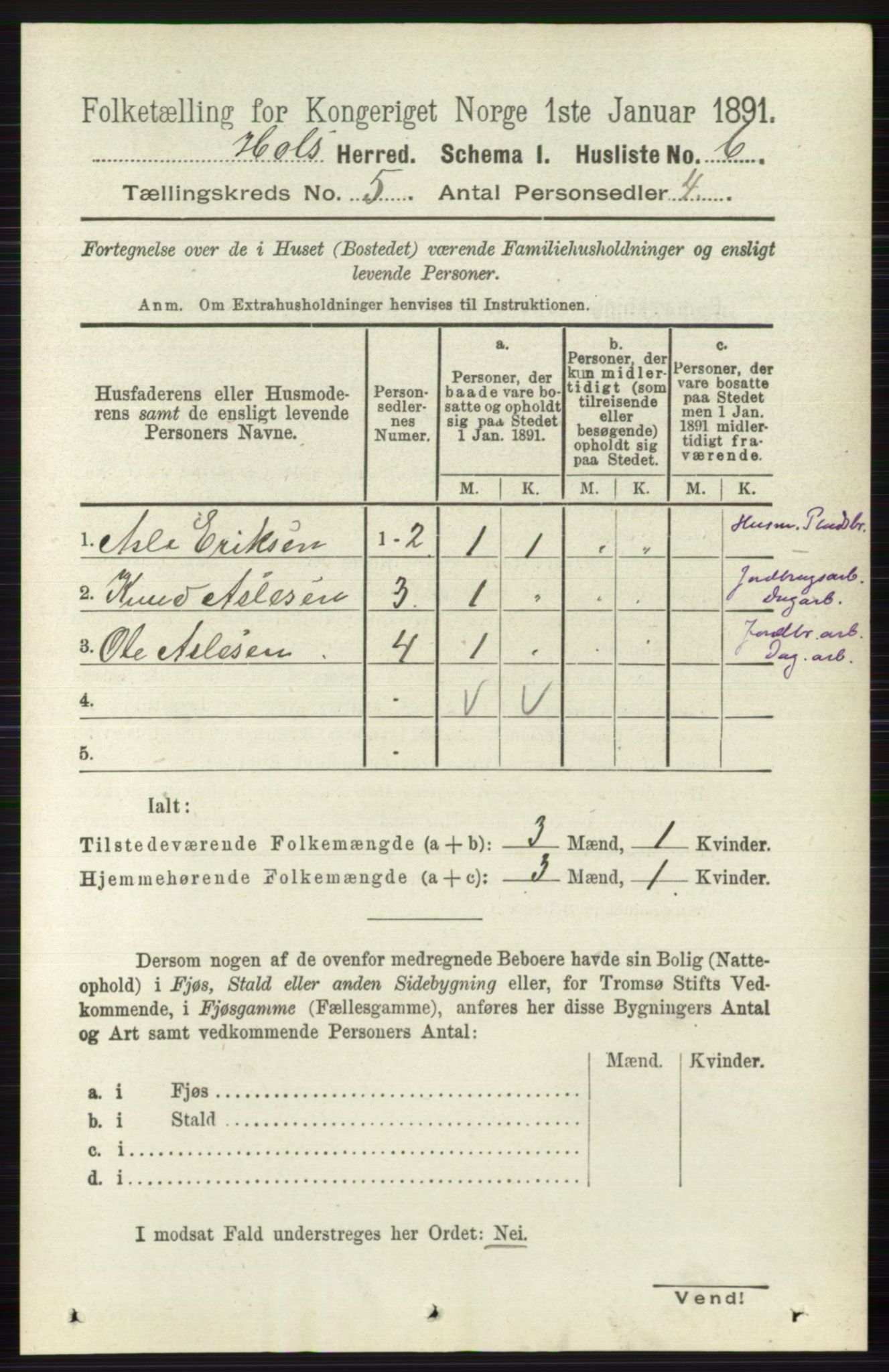 RA, Folketelling 1891 for 0620 Hol herred, 1891, s. 1423