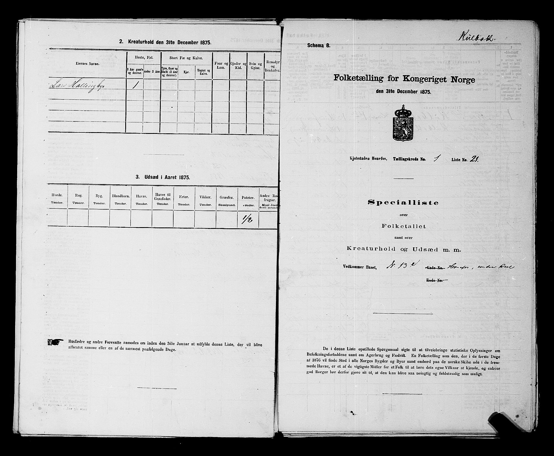 SAKO, Folketelling 1875 for 0601B Norderhov prestegjeld, Hønefoss kjøpstad, 1875, s. 56