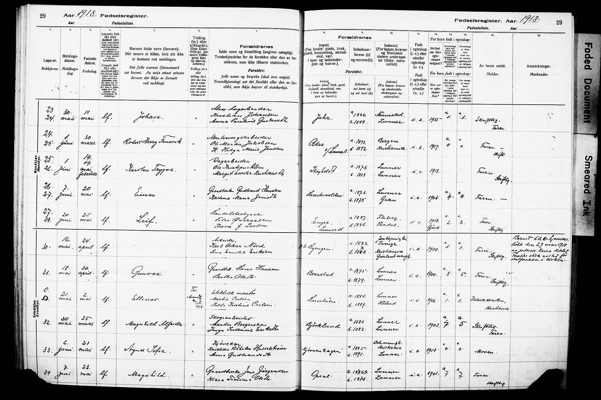 Lunner prestekontor, AV/SAH-PREST-118/I/Id/L0001: Fødselsregister nr. 1, 1916-1932, s. 29