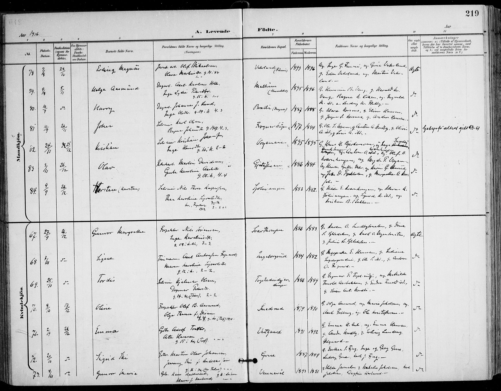 Nes prestekontor Kirkebøker, AV/SAO-A-10410/F/Fa/L0011: Ministerialbok nr. I 11, 1899-1918, s. 219