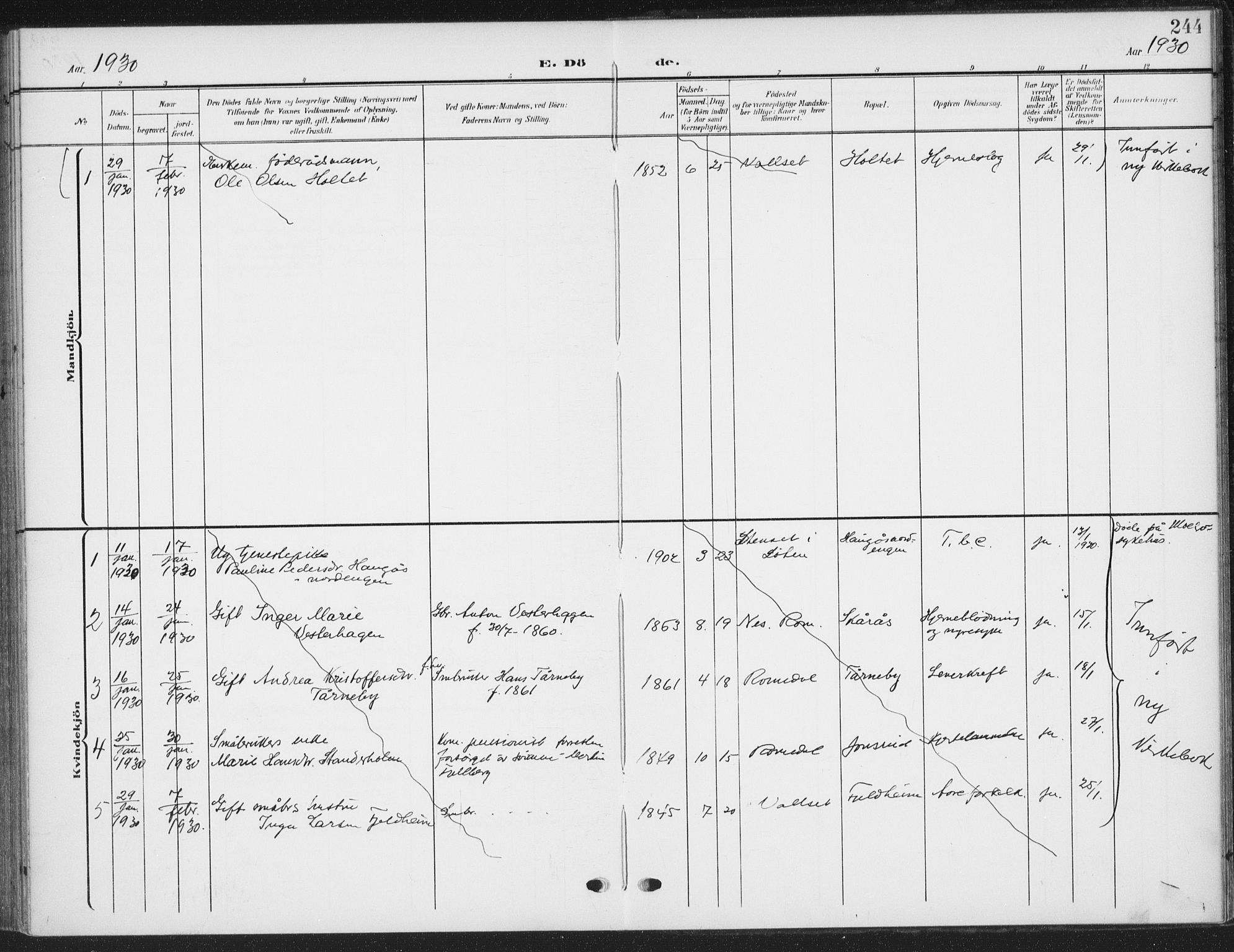 Romedal prestekontor, AV/SAH-PREST-004/K/L0009: Ministerialbok nr. 9, 1906-1929, s. 244