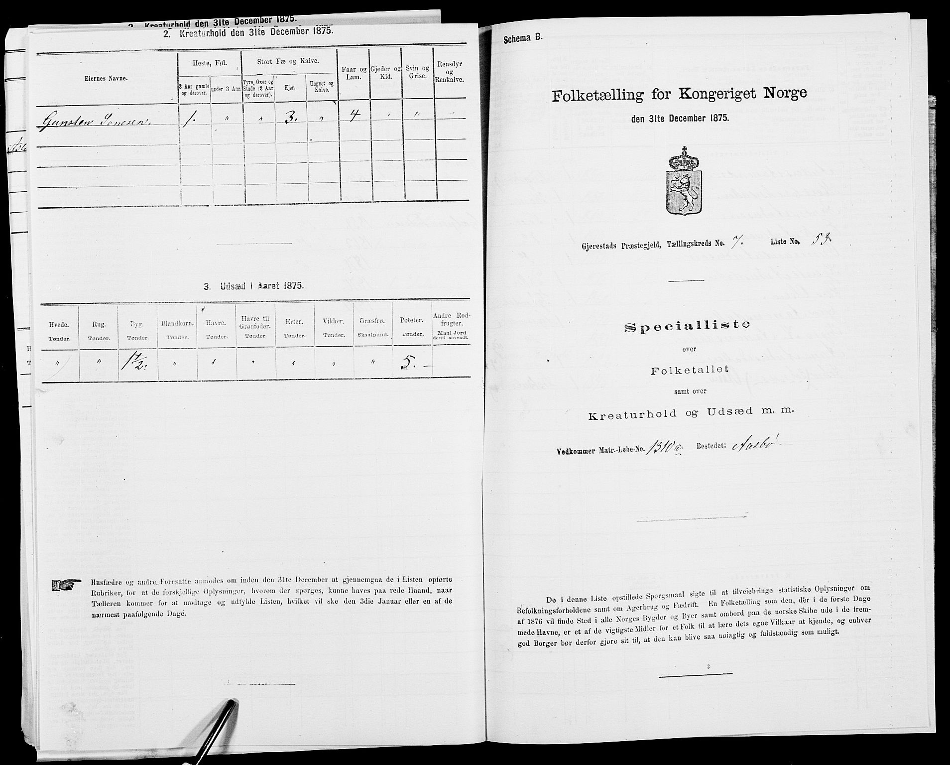 SAK, Folketelling 1875 for 0911P Gjerstad prestegjeld, 1875, s. 813