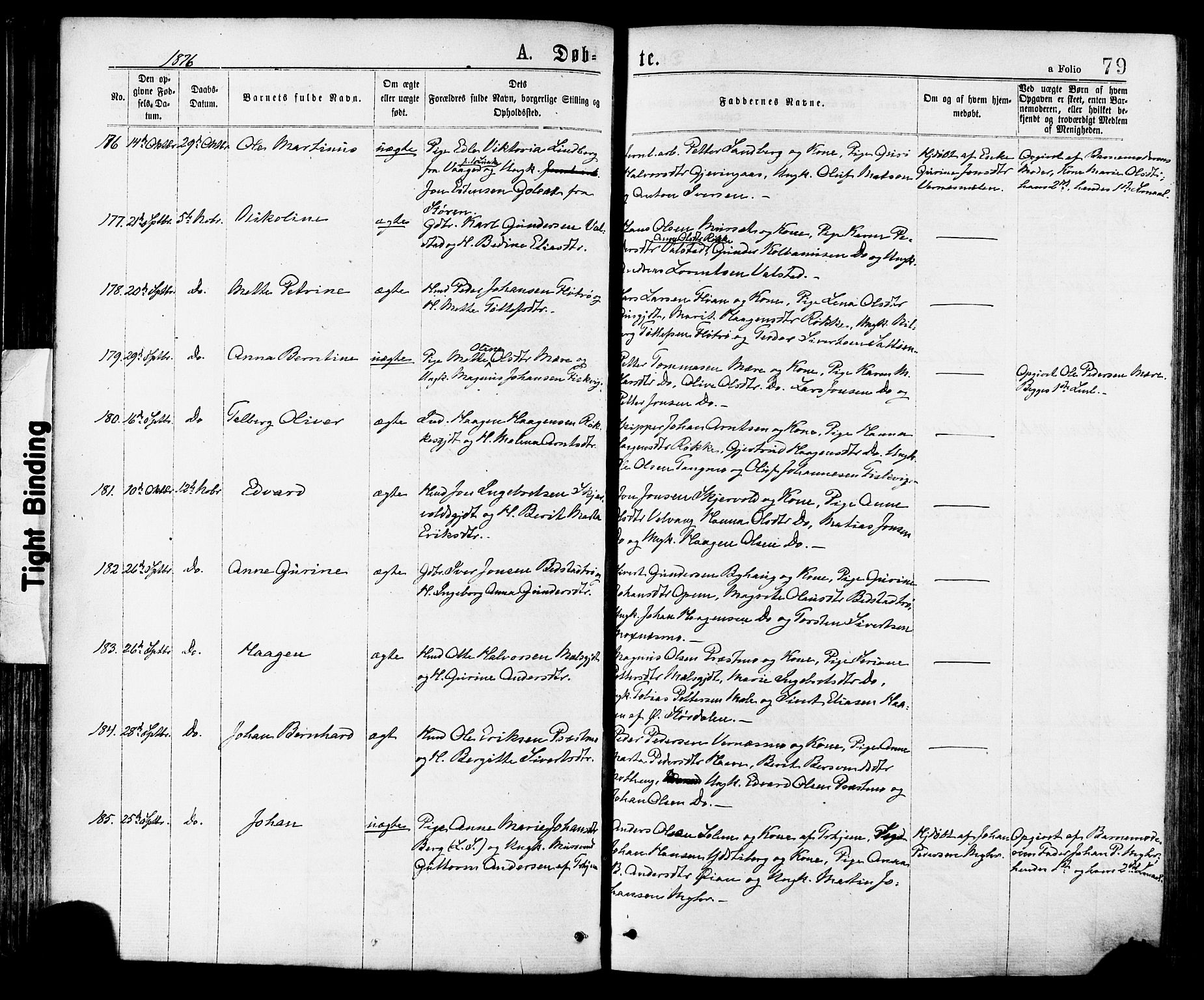 Ministerialprotokoller, klokkerbøker og fødselsregistre - Nord-Trøndelag, AV/SAT-A-1458/709/L0076: Ministerialbok nr. 709A16, 1871-1879, s. 79