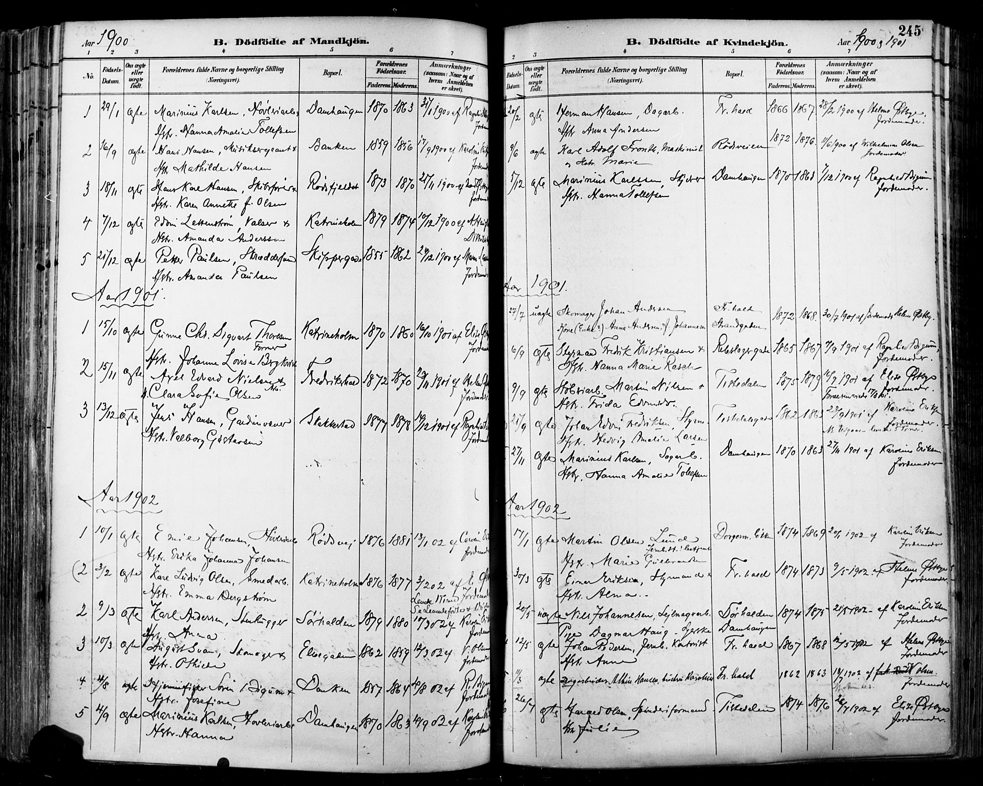 Halden prestekontor Kirkebøker, SAO/A-10909/F/Fa/L0013: Ministerialbok nr. I 13, 1890-1906, s. 245