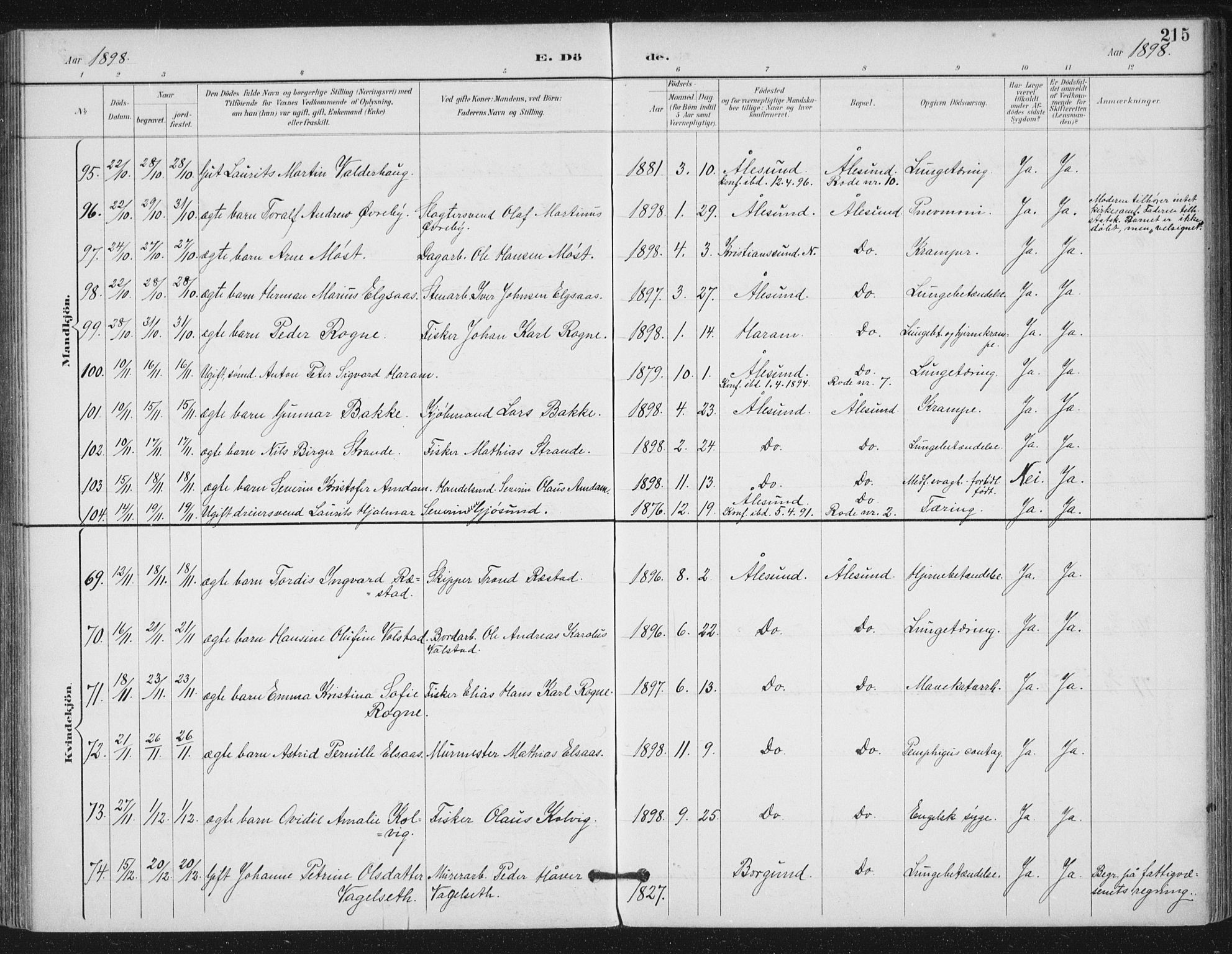 Ministerialprotokoller, klokkerbøker og fødselsregistre - Møre og Romsdal, SAT/A-1454/529/L0457: Ministerialbok nr. 529A07, 1894-1903, s. 215