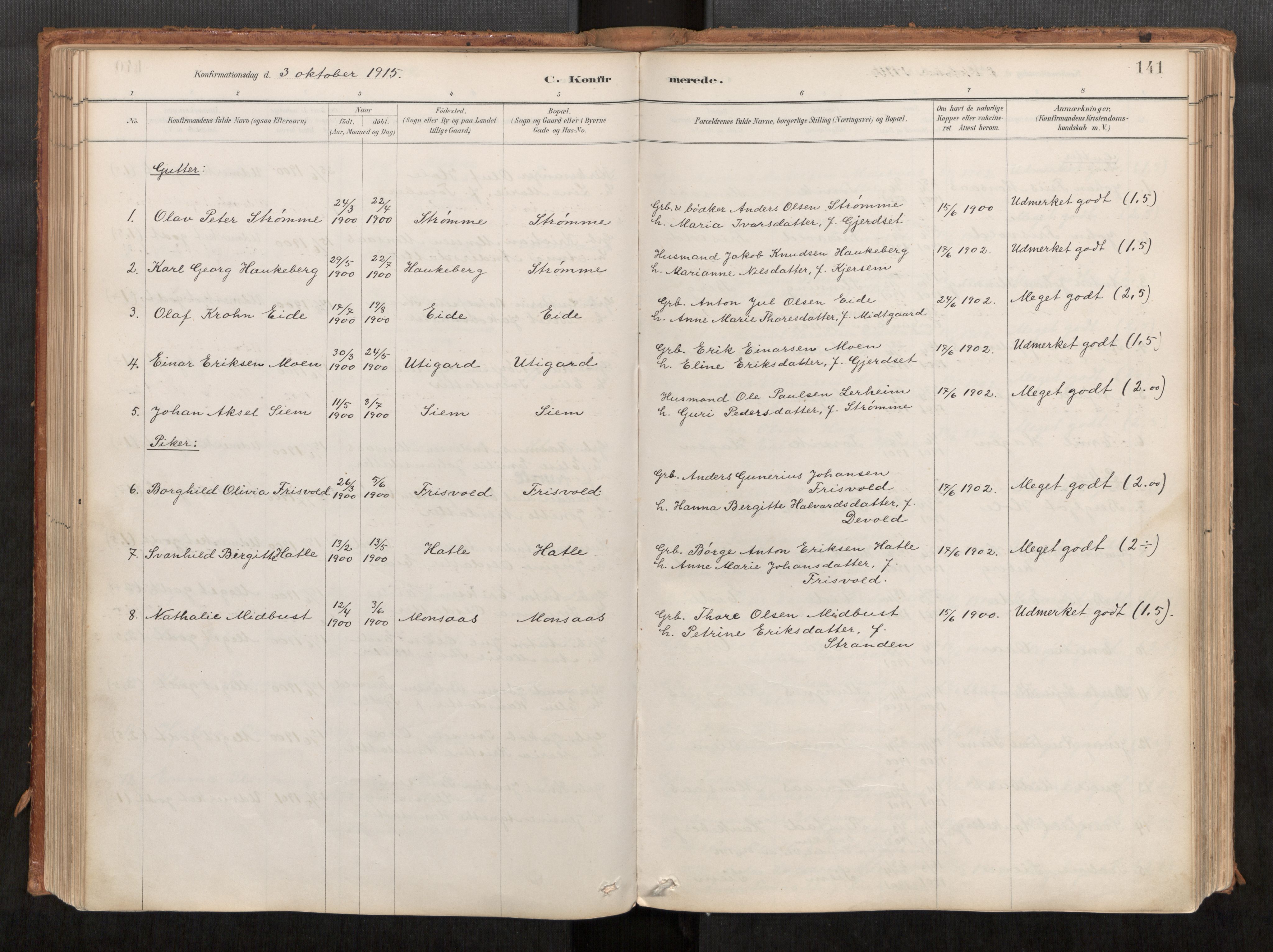 Ministerialprotokoller, klokkerbøker og fødselsregistre - Møre og Romsdal, AV/SAT-A-1454/542/L0553: Ministerialbok nr. 542A03, 1885-1925, s. 141