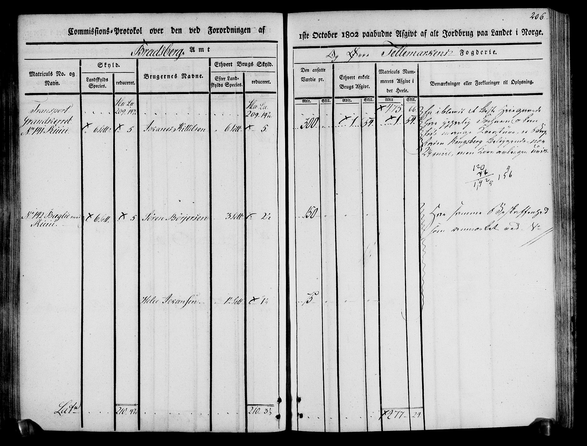 Rentekammeret inntil 1814, Realistisk ordnet avdeling, RA/EA-4070/N/Ne/Nea/L0074: Øvre Telemarken fogderi. Kommisjonsprotokoll for fogderiets østre del - Tinn, Hjartdal og Seljord prestegjeld., 1803, s. 206