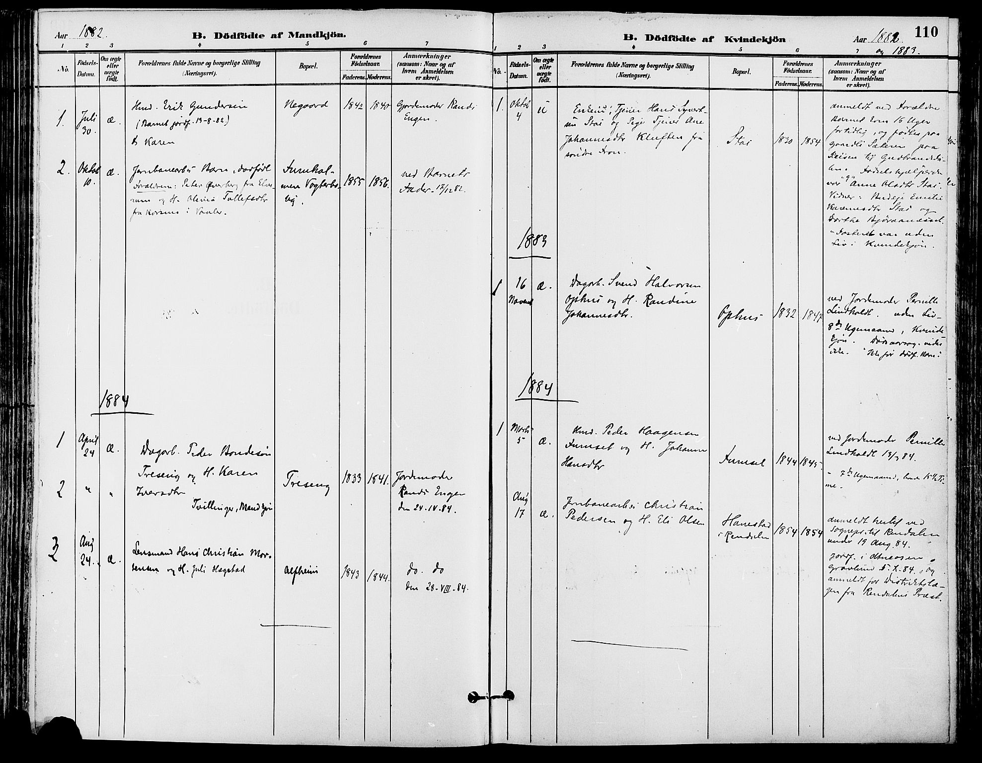 Stor-Elvdal prestekontor, AV/SAH-PREST-052/H/Ha/Haa/L0002: Ministerialbok nr. 2, 1882-1907, s. 110