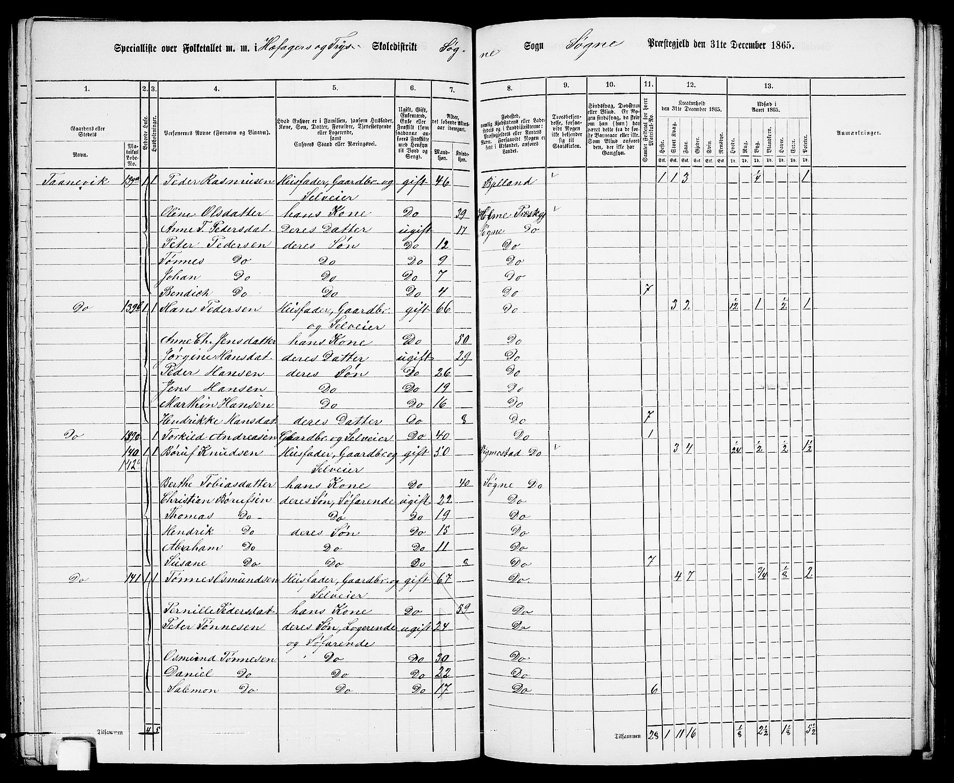 RA, Folketelling 1865 for 1018P Søgne prestegjeld, 1865, s. 97