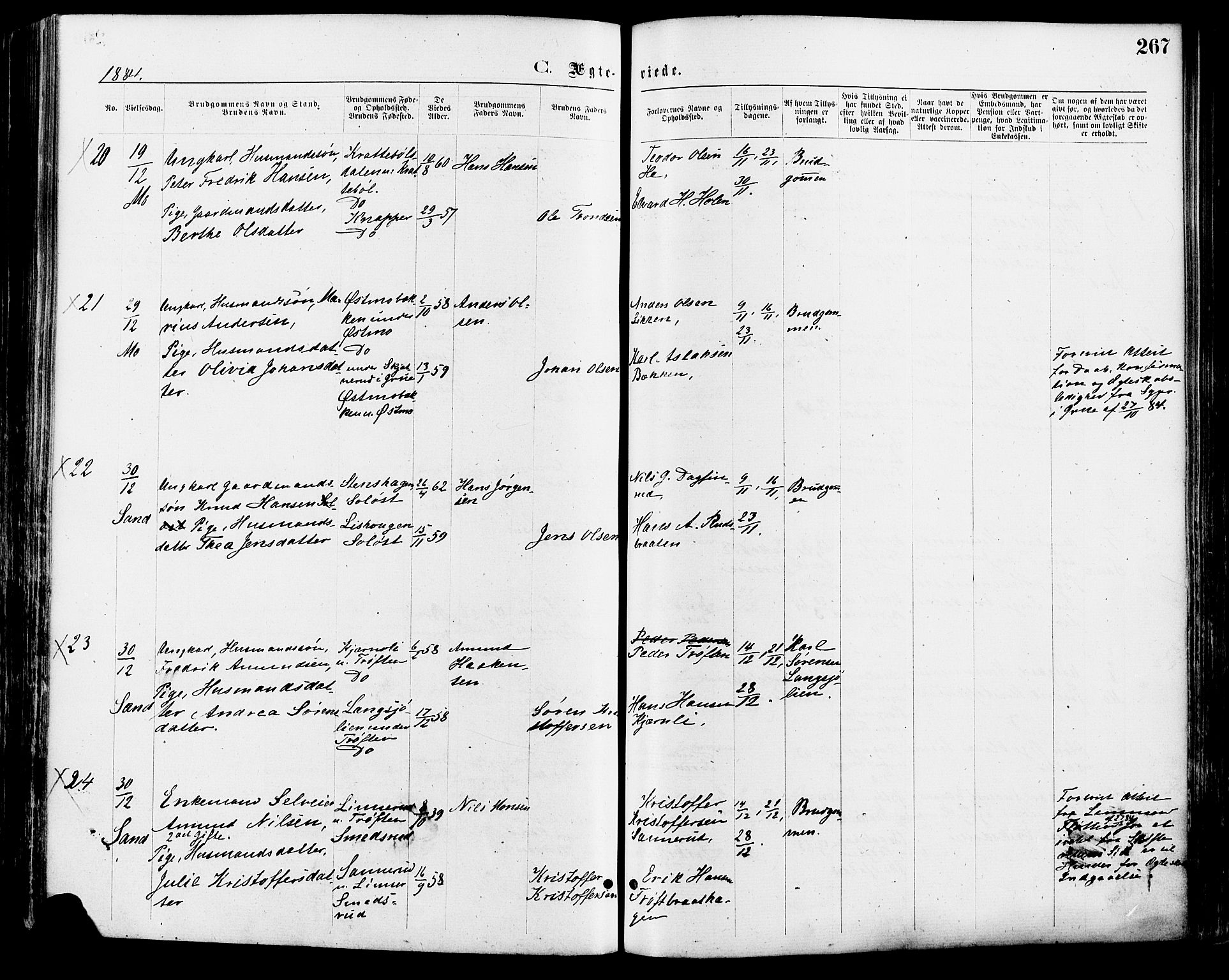 Nord-Odal prestekontor, AV/SAH-PREST-032/H/Ha/Haa/L0005: Ministerialbok nr. 5, 1874-1885, s. 267