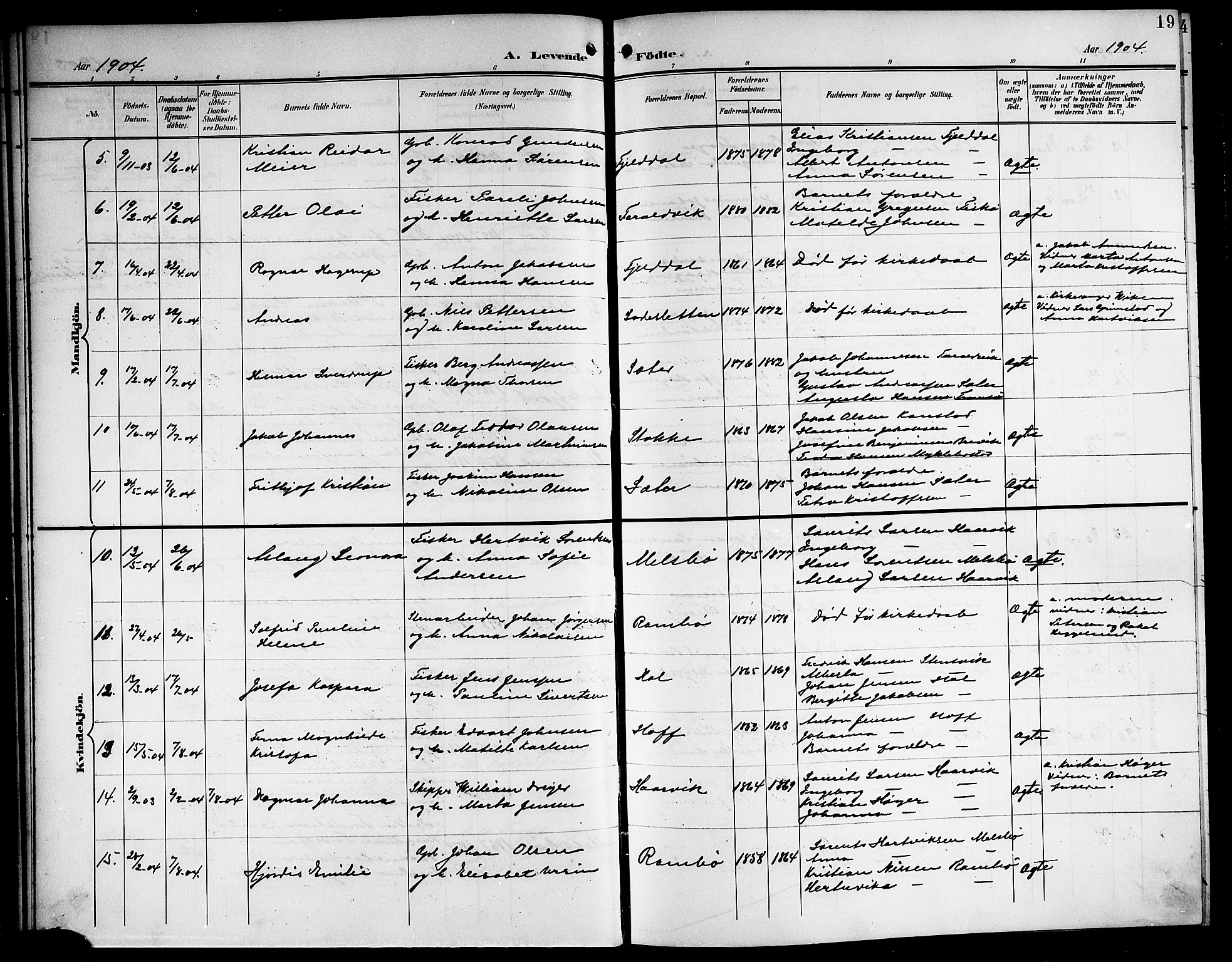 Ministerialprotokoller, klokkerbøker og fødselsregistre - Nordland, AV/SAT-A-1459/865/L0932: Klokkerbok nr. 865C04, 1901-1917, s. 19