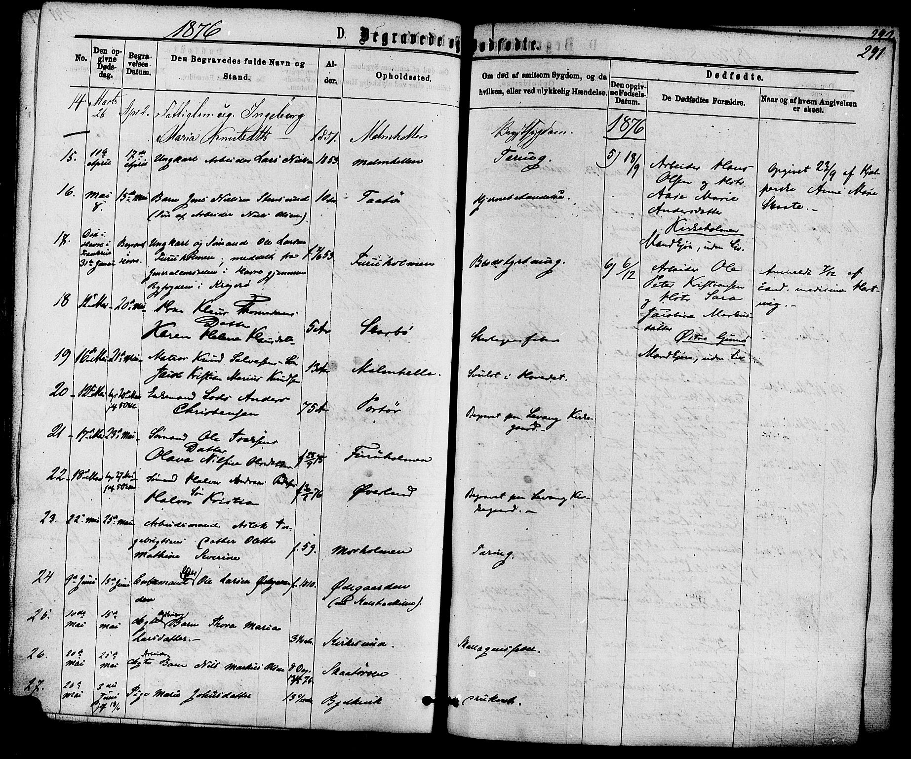 Skåtøy kirkebøker, AV/SAKO-A-304/F/Fa/L0001: Ministerialbok nr. I 1, 1874-1883, s. 291