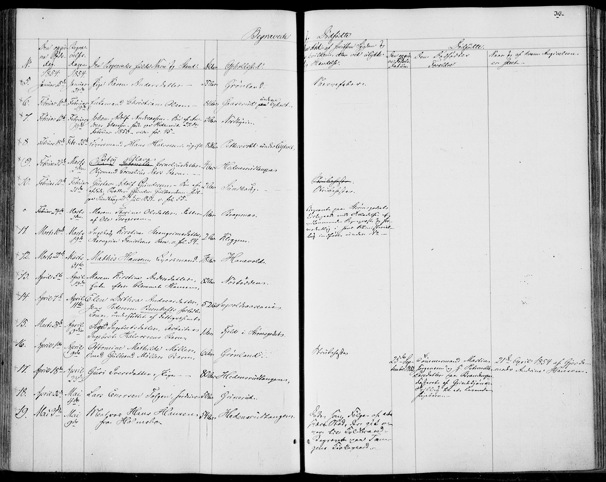Skoger kirkebøker, SAKO/A-59/F/Fa/L0003: Ministerialbok nr. I 3, 1842-1861, s. 313