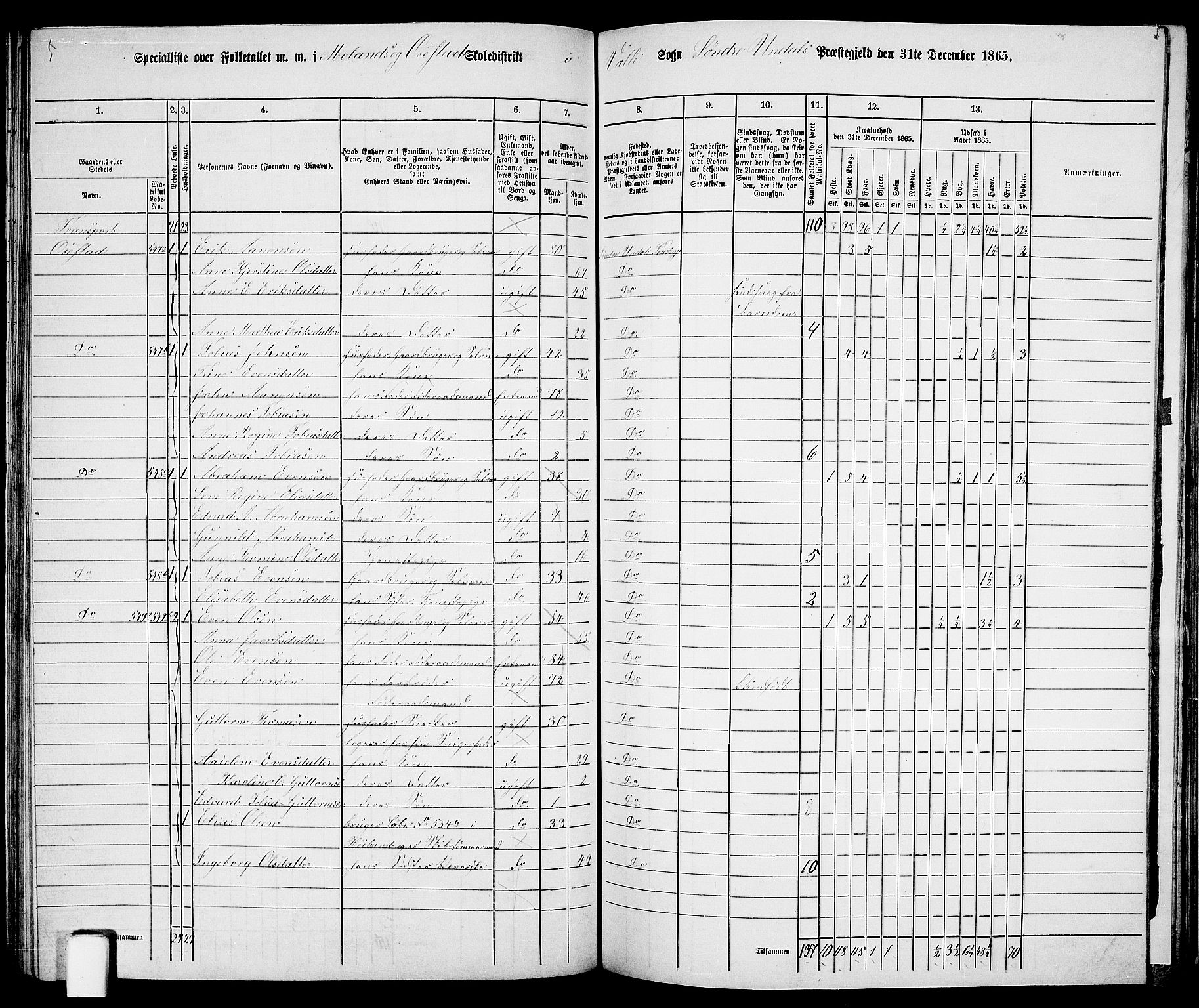 RA, Folketelling 1865 for 1029P Sør-Audnedal prestegjeld, 1865, s. 119