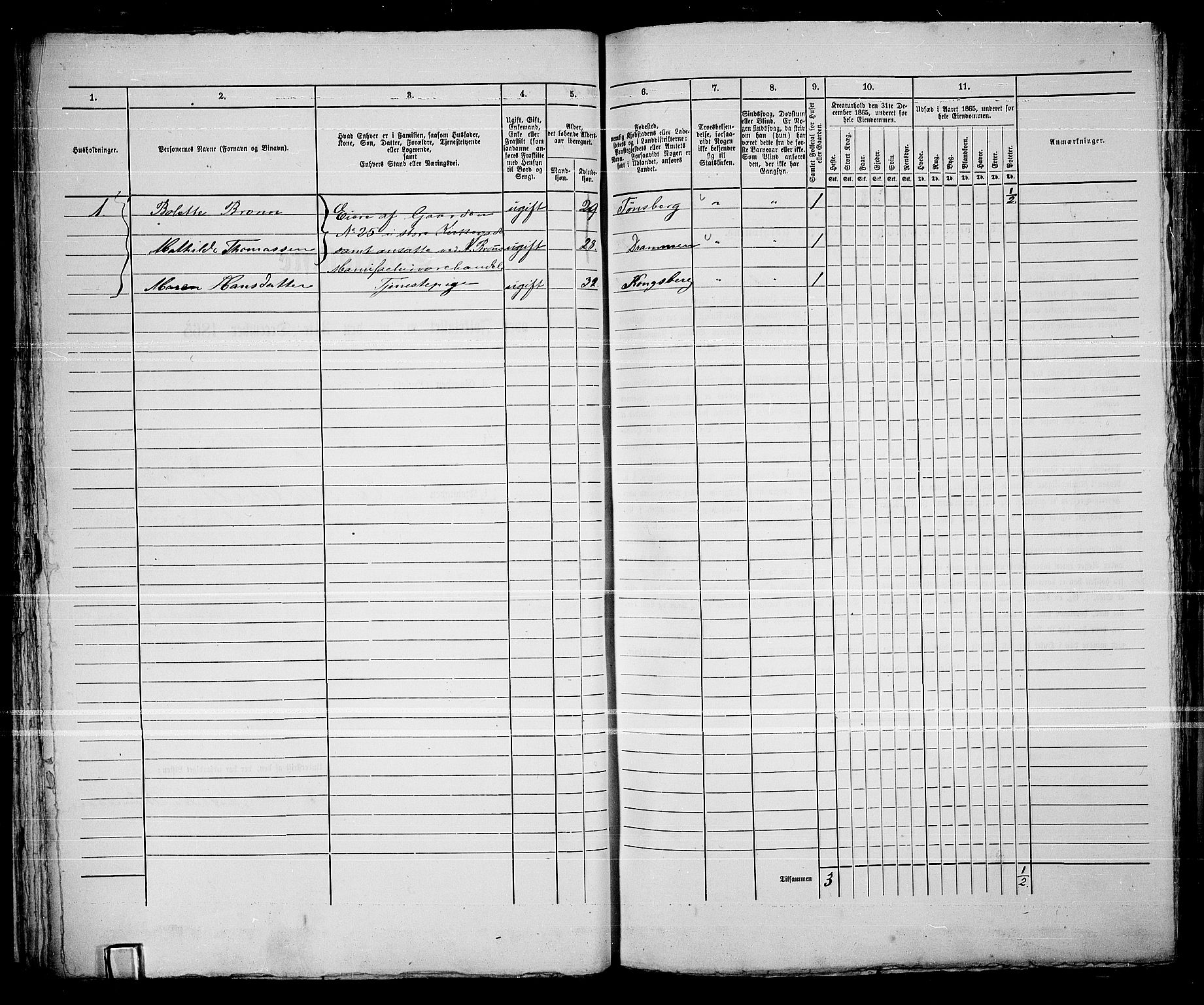 RA, Folketelling 1865 for 0604B Kongsberg prestegjeld, Kongsberg kjøpstad, 1865, s. 52