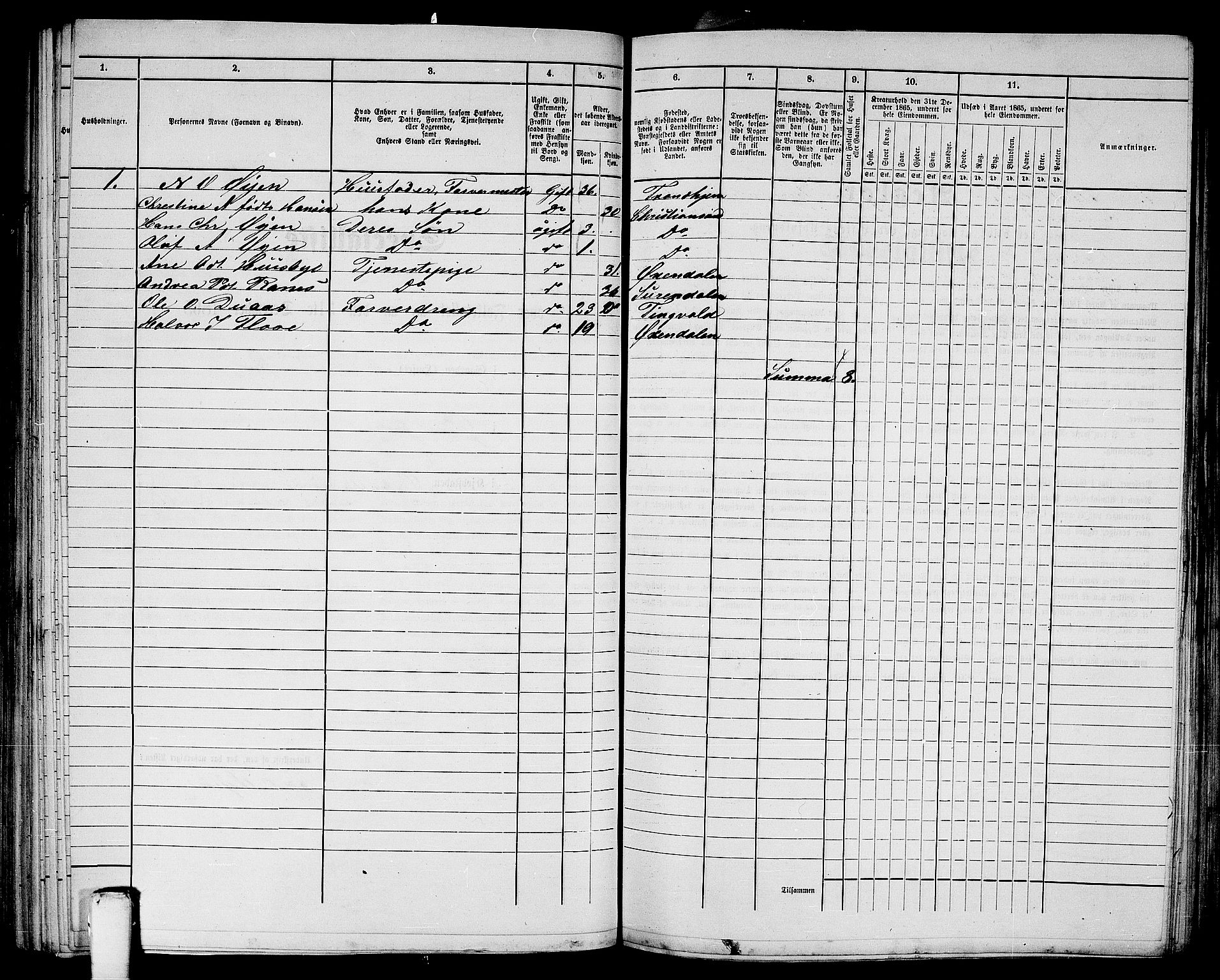 RA, Folketelling 1865 for 1503B Kristiansund prestegjeld, Kristiansund kjøpstad, 1865, s. 205