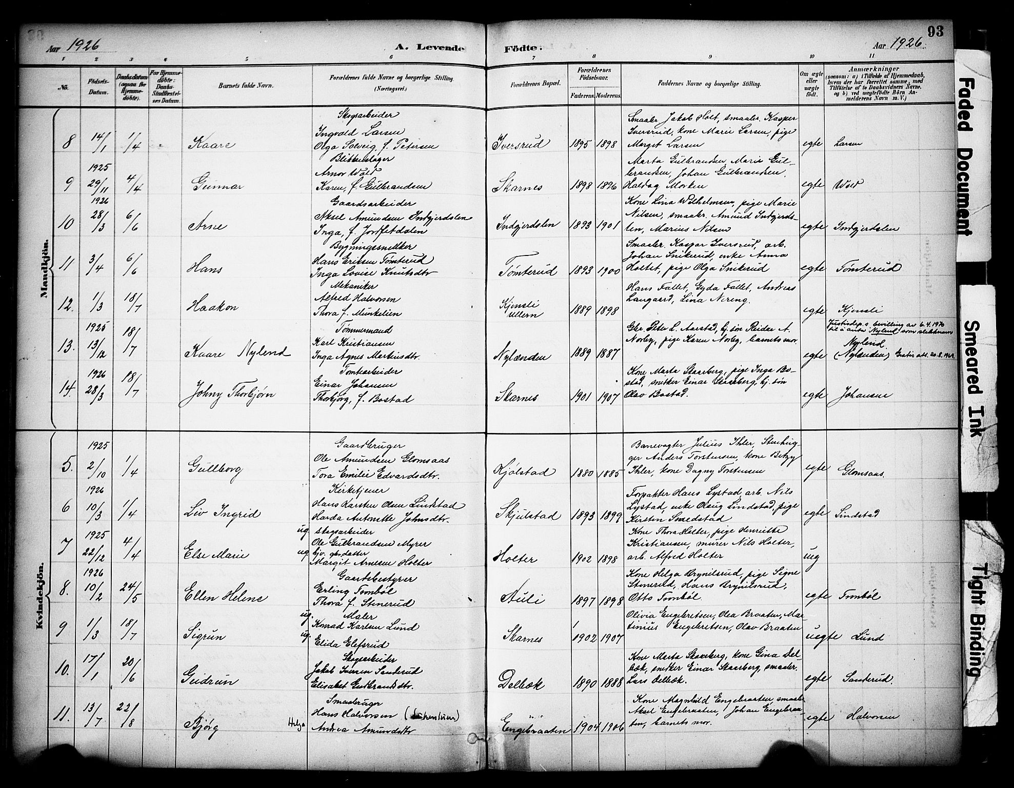 Sør-Odal prestekontor, AV/SAH-PREST-030/H/Ha/Haa/L0009: Ministerialbok nr. 9, 1886-1926, s. 93