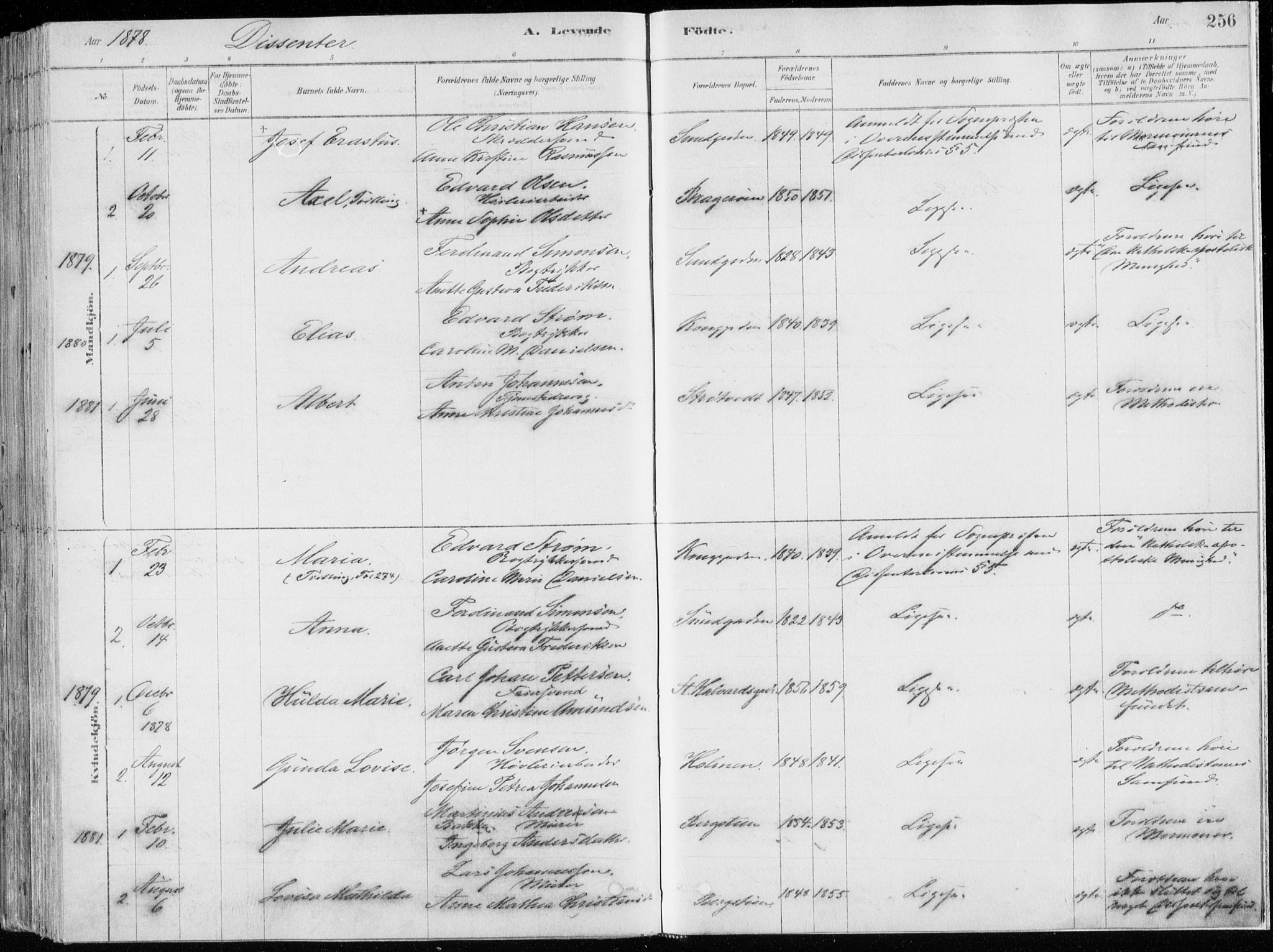 Bragernes kirkebøker, AV/SAKO-A-6/F/Fb/L0006a: Ministerialbok nr. II 6A, 1878-1885, s. 256