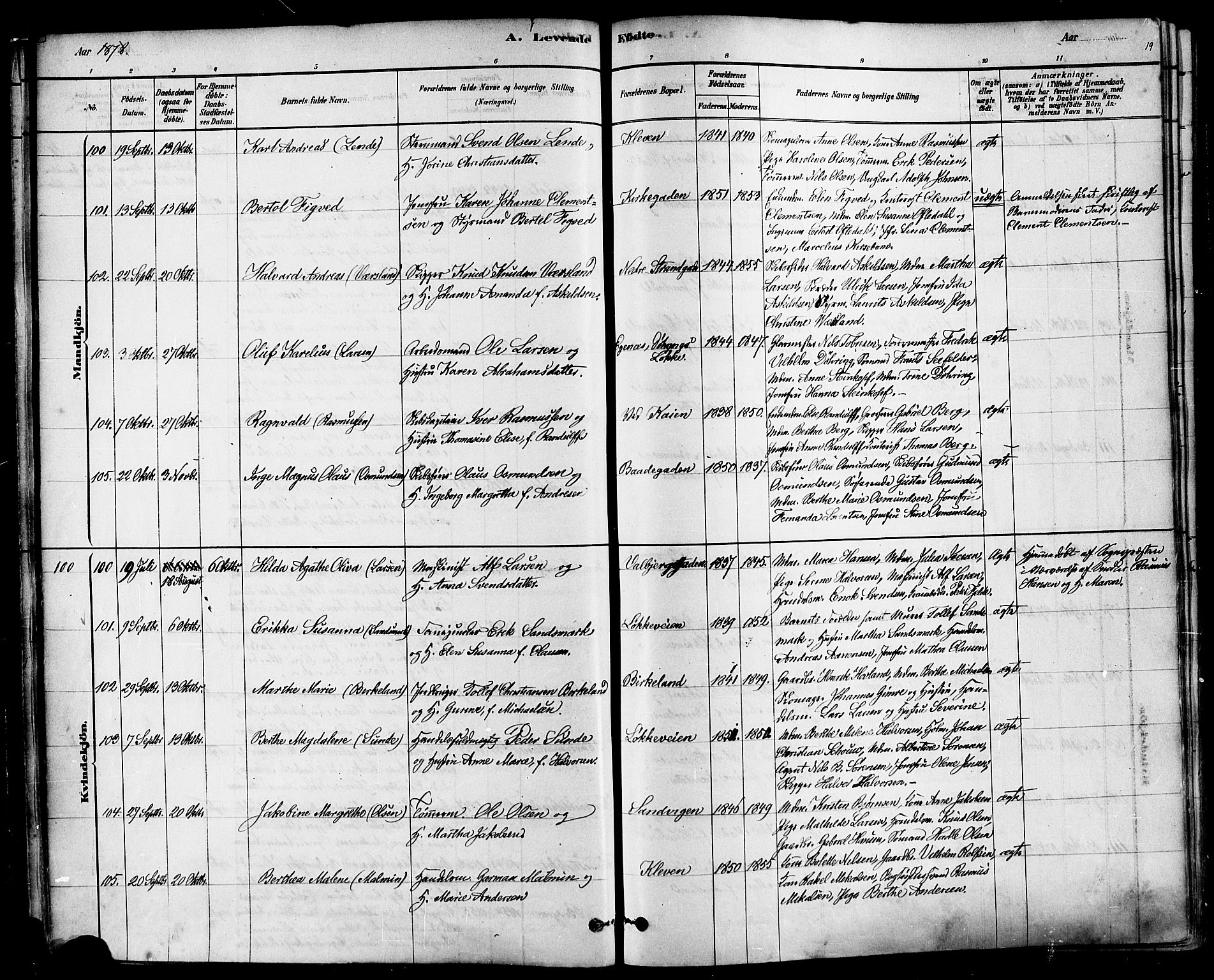 Domkirken sokneprestkontor, AV/SAST-A-101812/001/30/30BA/L0026: Ministerialbok nr. A 25, 1878-1889, s. 19